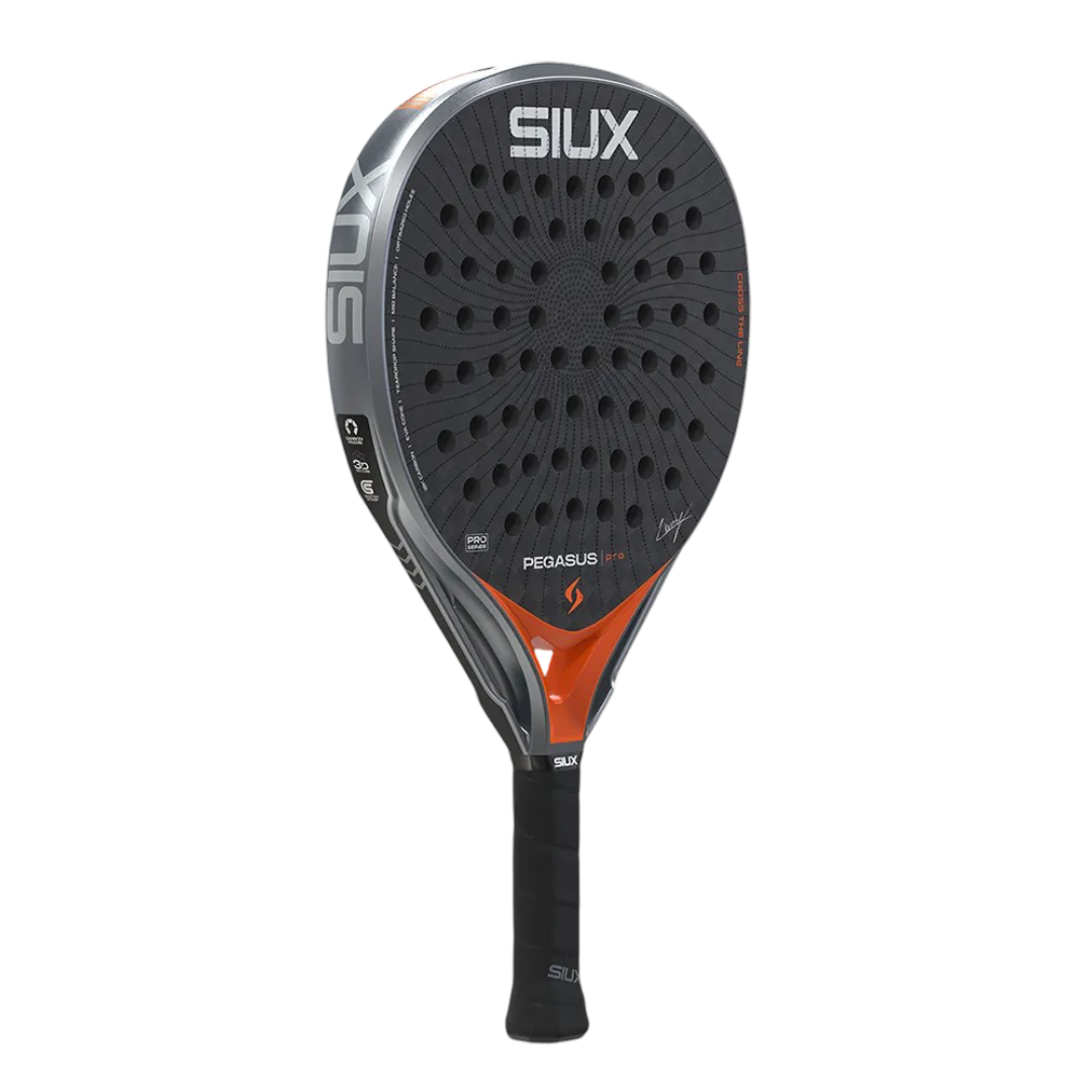 Pegasus Orange 4 (1).png