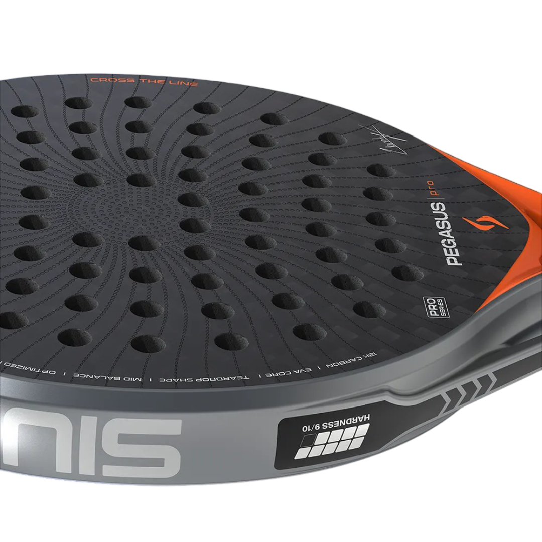 Pegasus Orange 5 (1).png