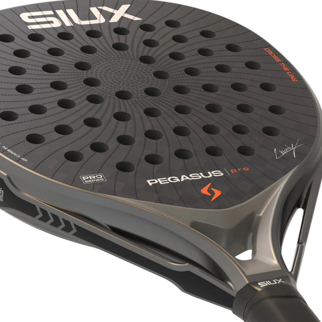Siux Pegasus Grey 6 (1).png