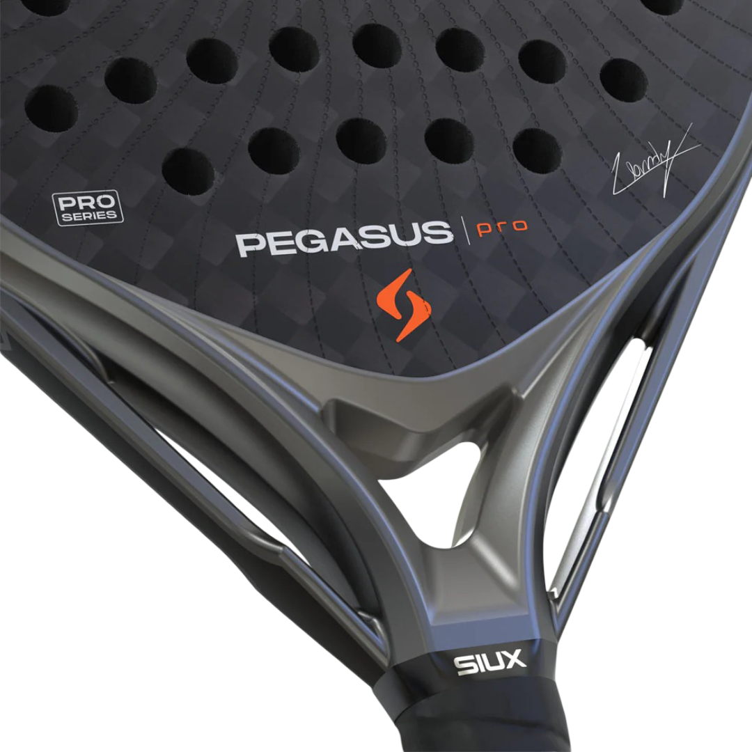 Siux Pegasus Grey 5 (1).png