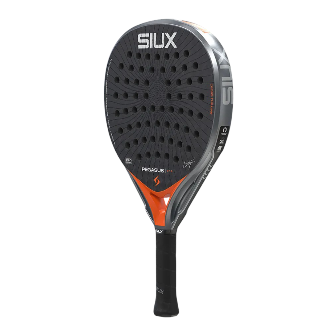 Pegasus Orange 6 (1).png