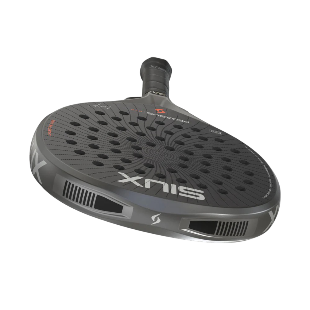 Siux Pegasus Grey 3 (1).png