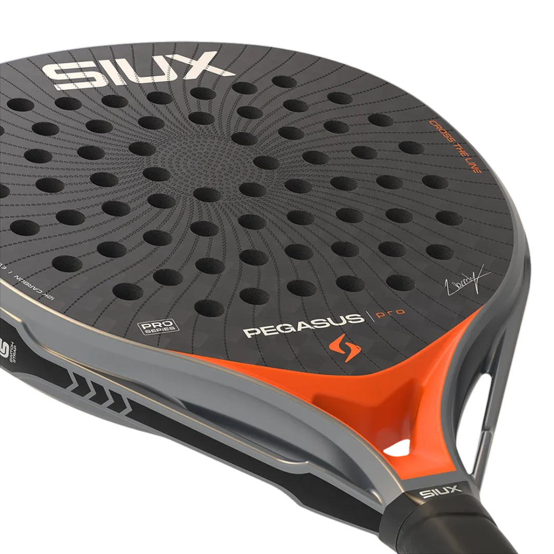 Pegasus Orange 8 (1).png