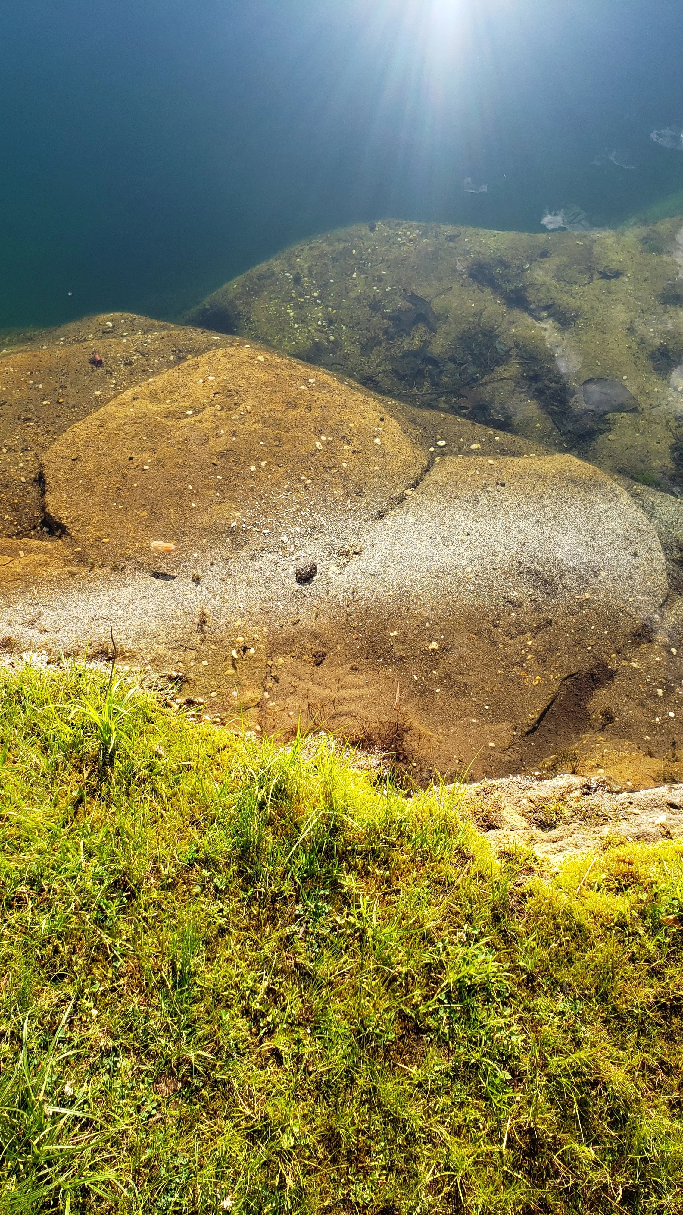 Underwater view of rocks at the edge of a body of water, with sunlight shining through from above and a grassy bank in the foreground.