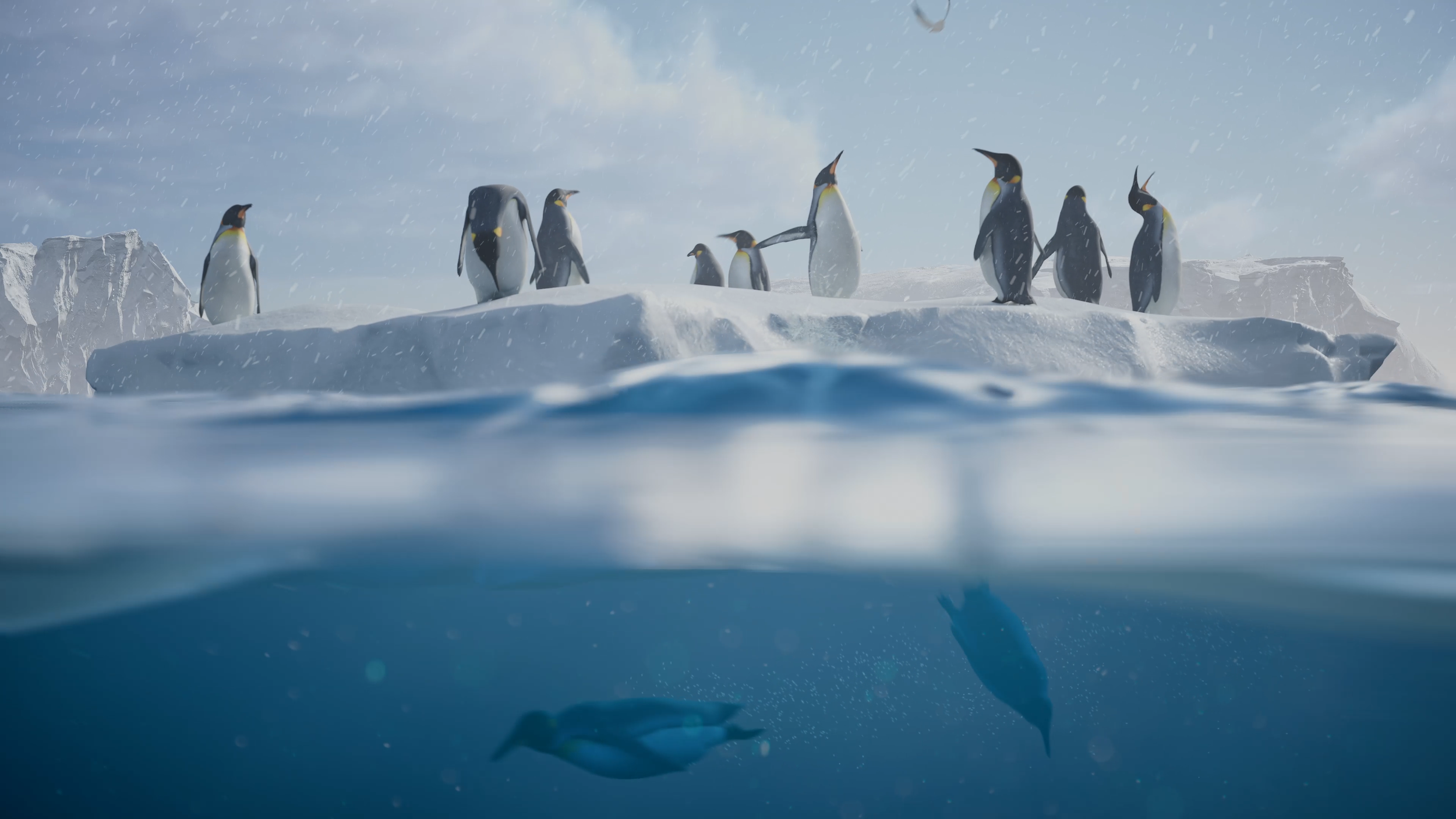 Penguins Still.png
