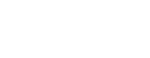 Lo Salt.png