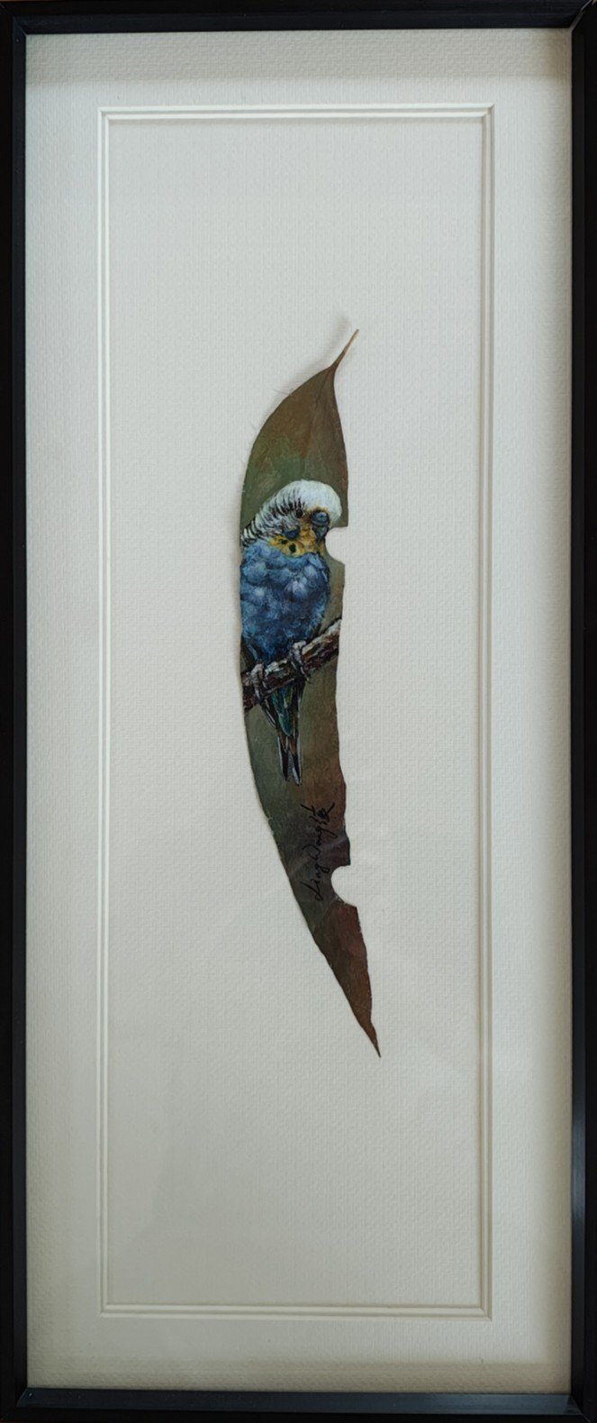Budgie on Blue Gum.jpg