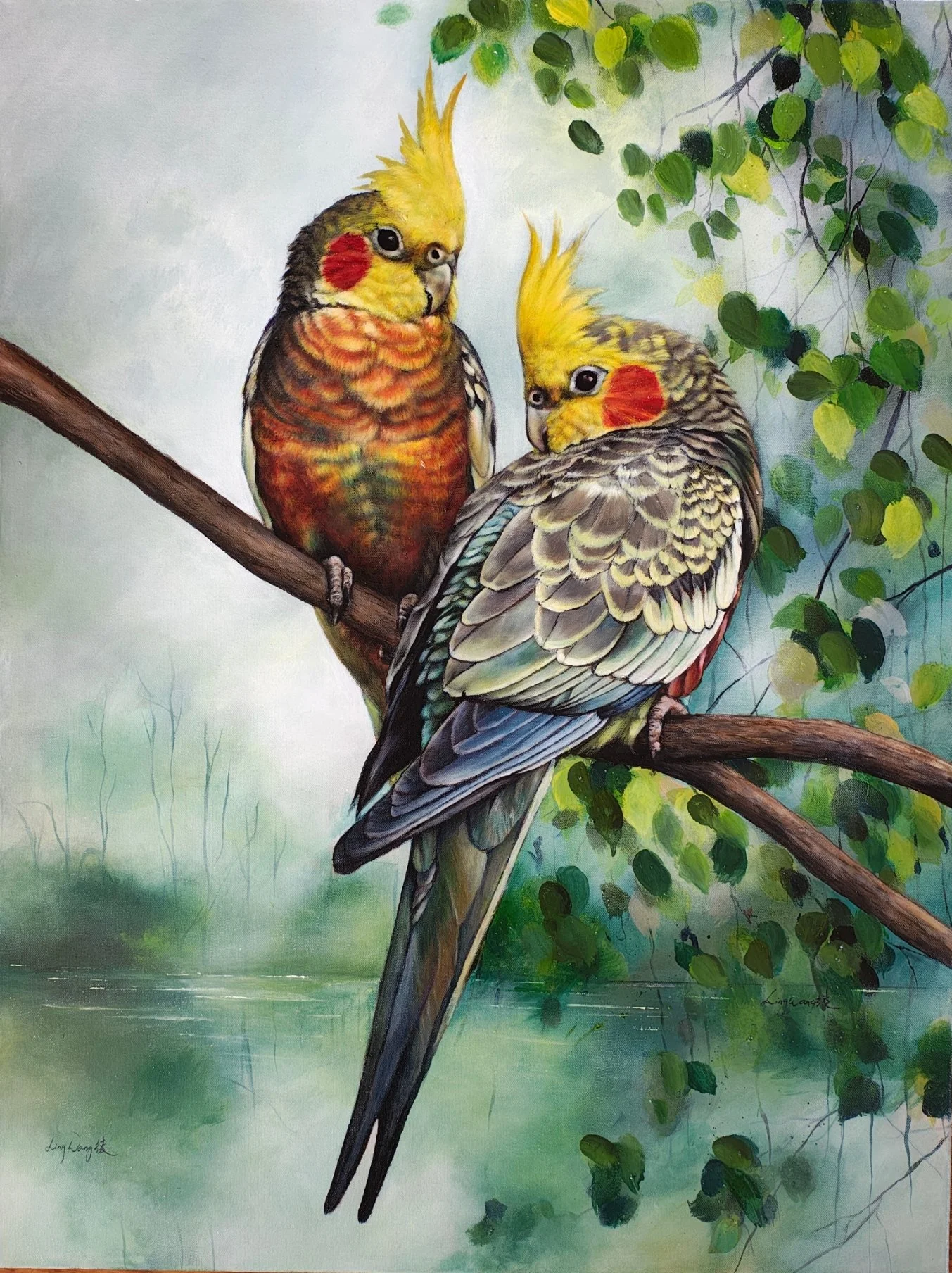 Cockatiels in the Willow.jpg