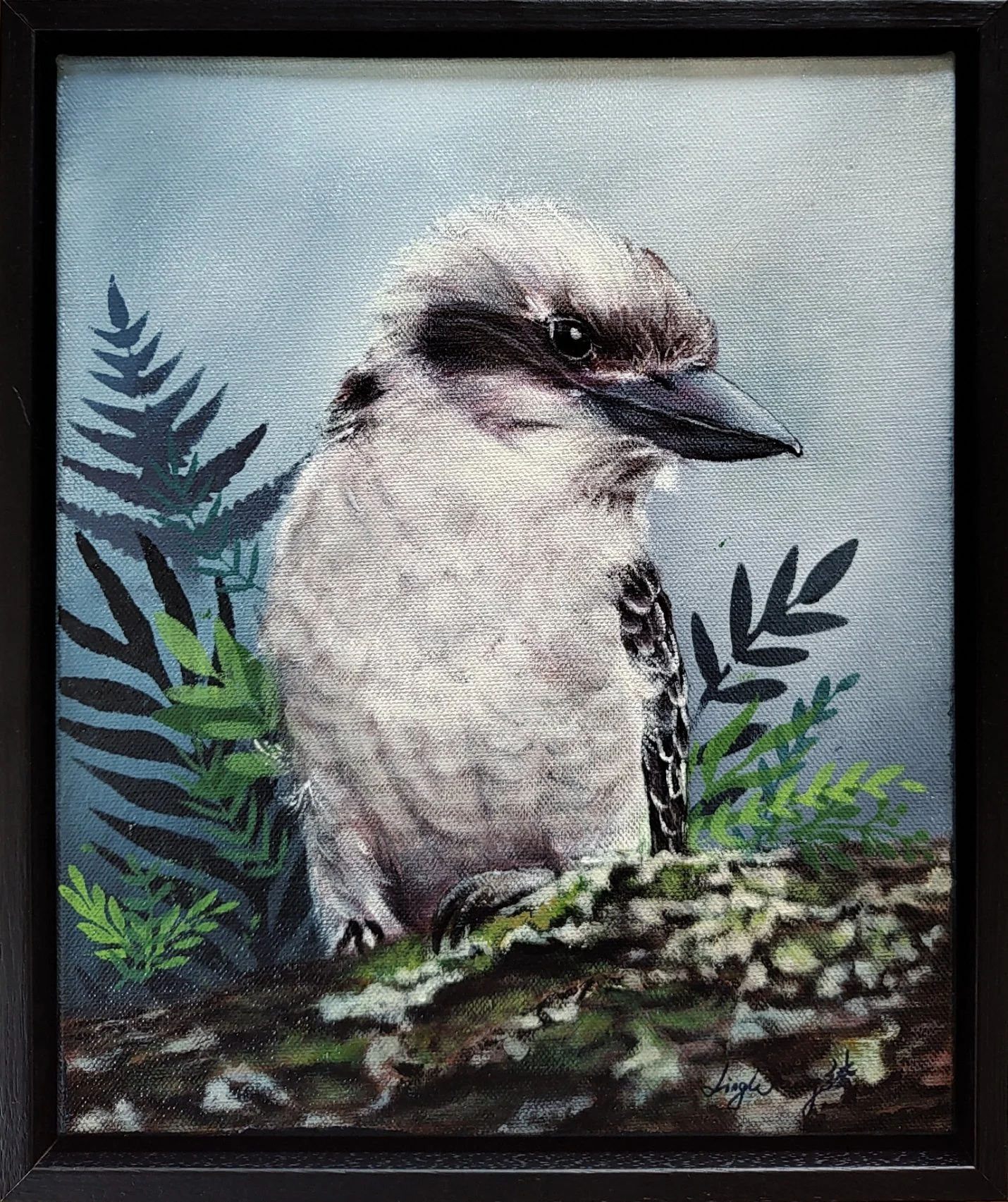 Kookaburra's Domain.jpg