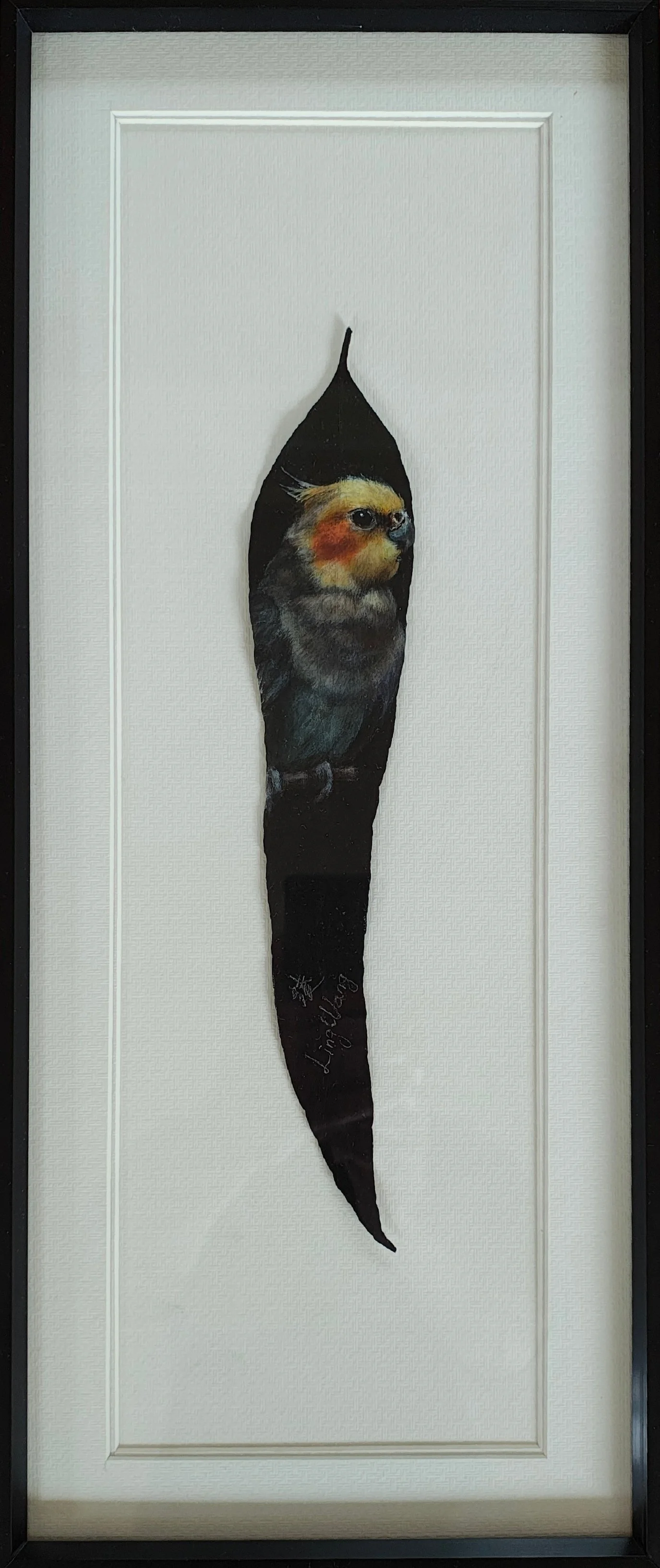 The Gentle Cockatiel