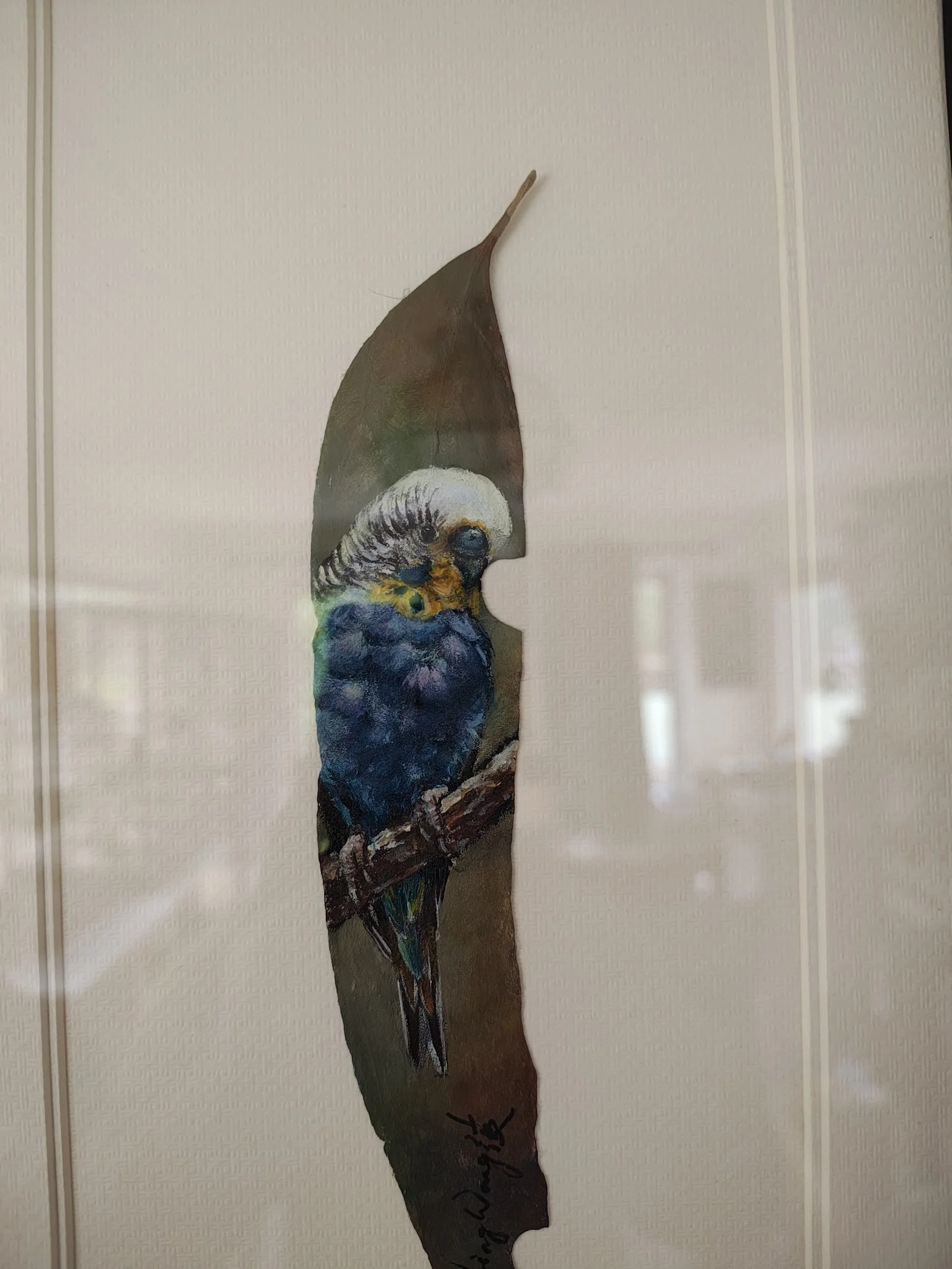 Budgie on Blue Gum Detail.jpg