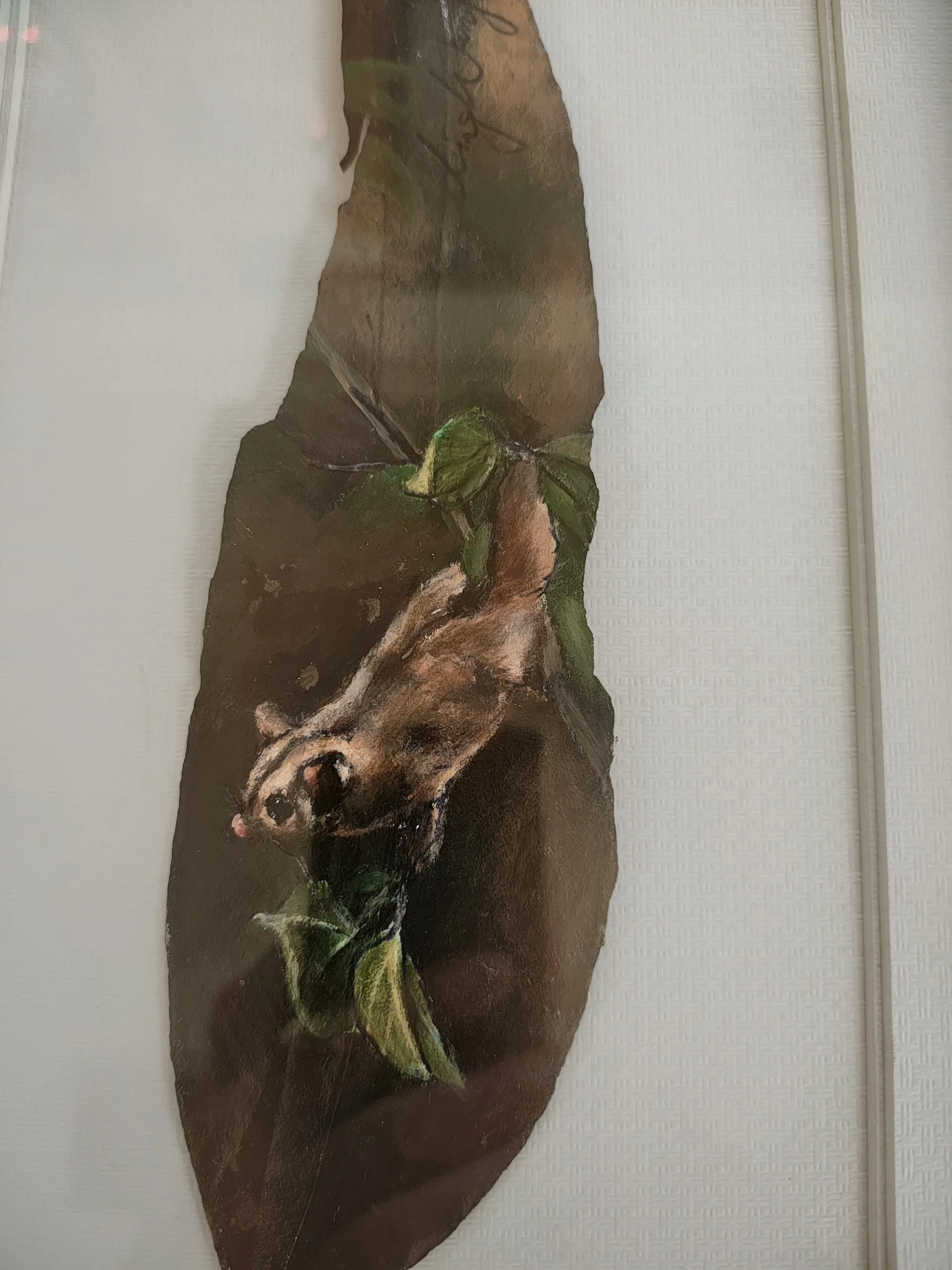 Hidden in the Leaf Close2.jpg