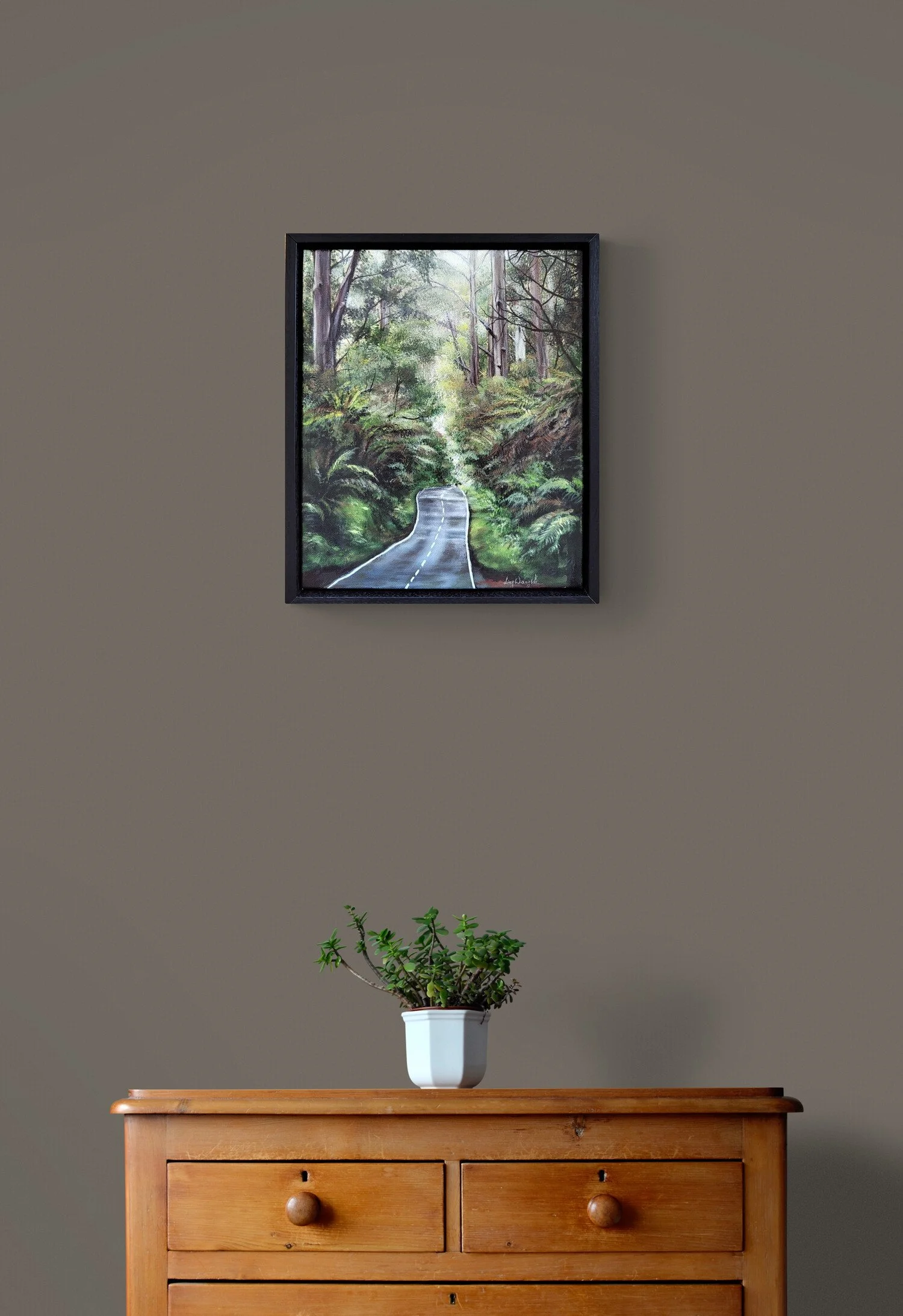 plant-on-wooden-drawers.jpg