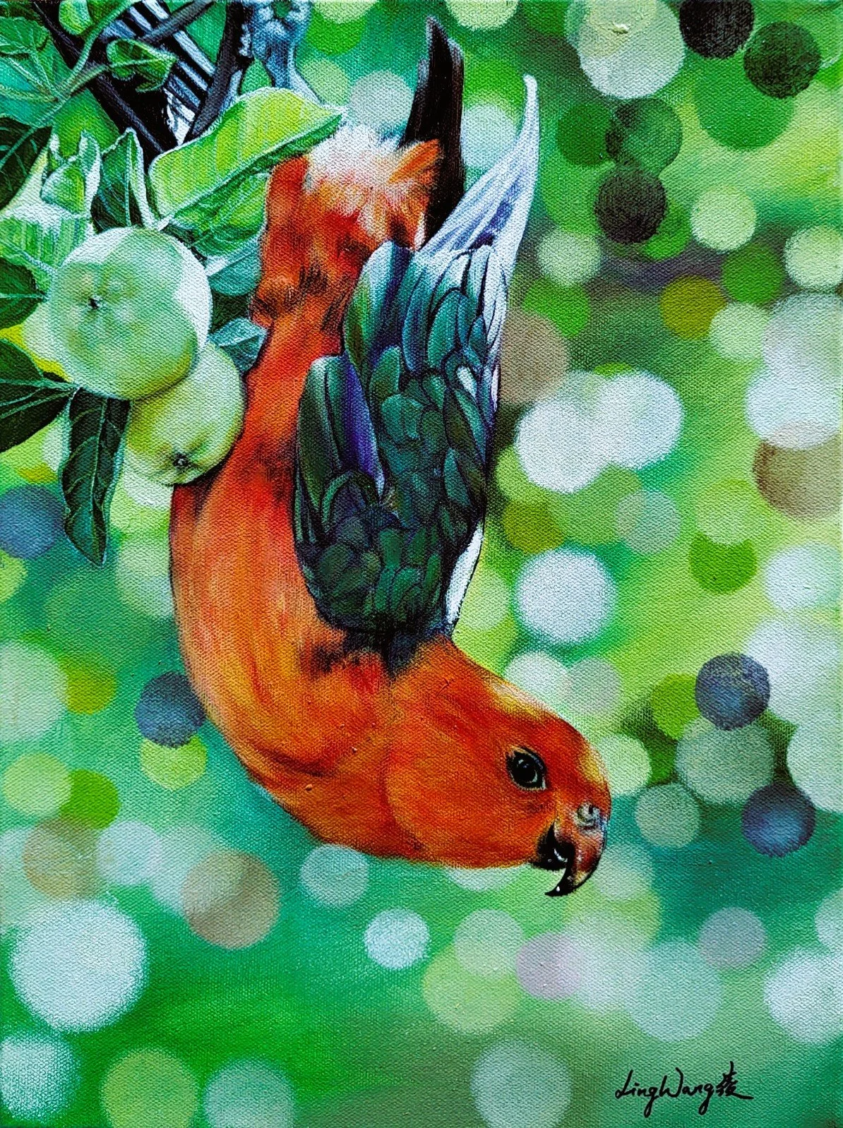 King of the Orchard.jpg