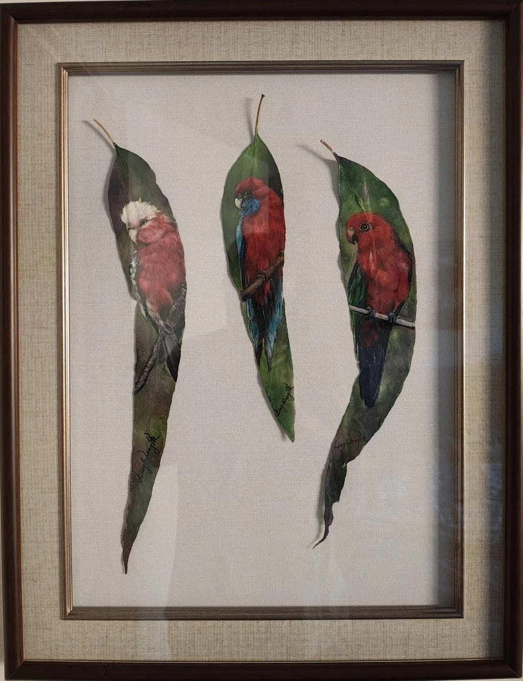 Parrots of the Eucalyptus.jpg
