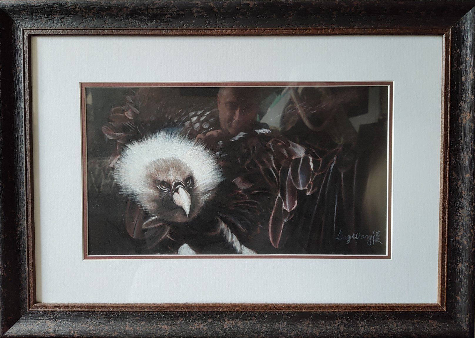 Feathered Vigilance.jpg