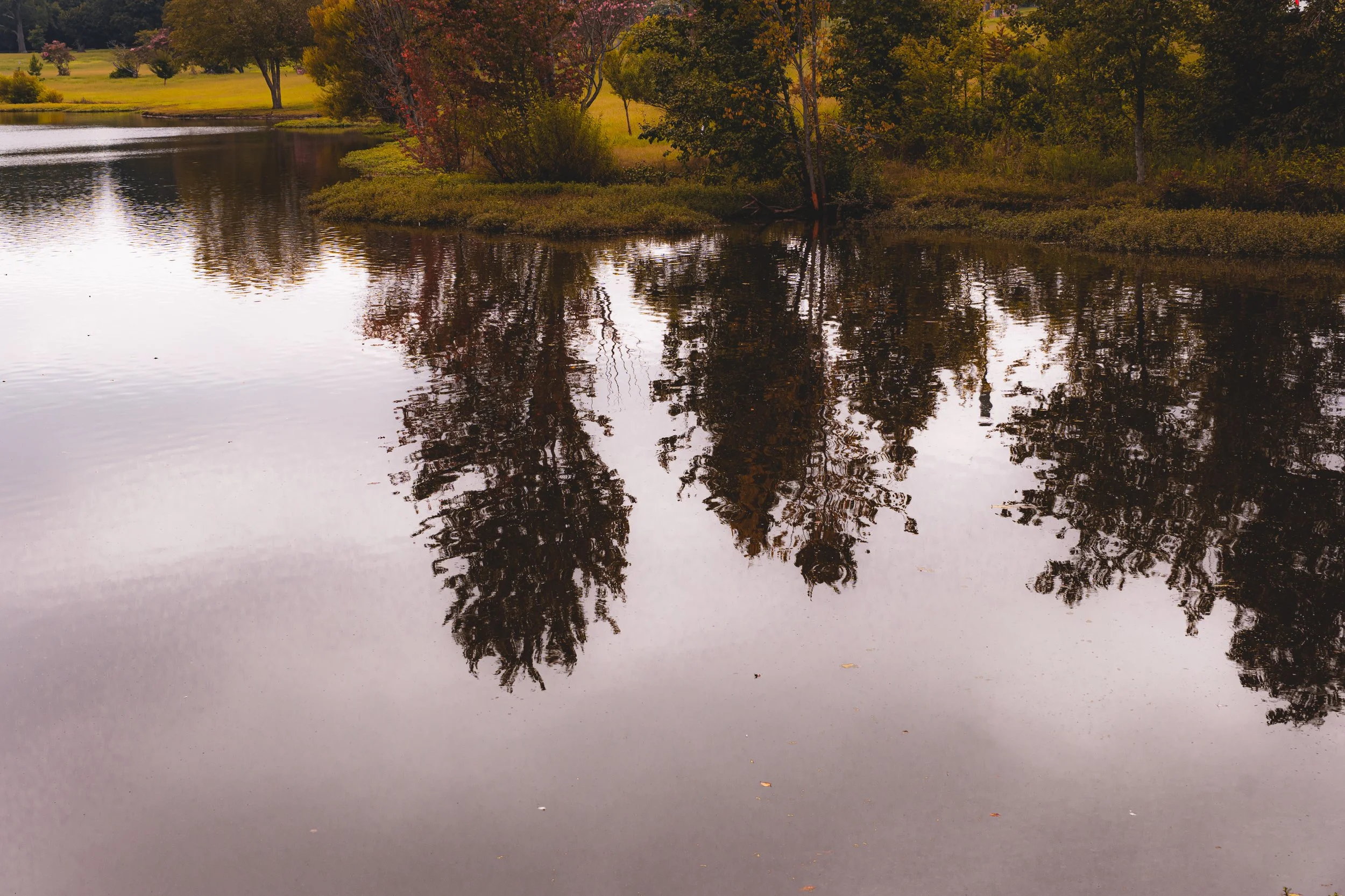 Everett Stallings, Rock Hill, South Carolina, USA