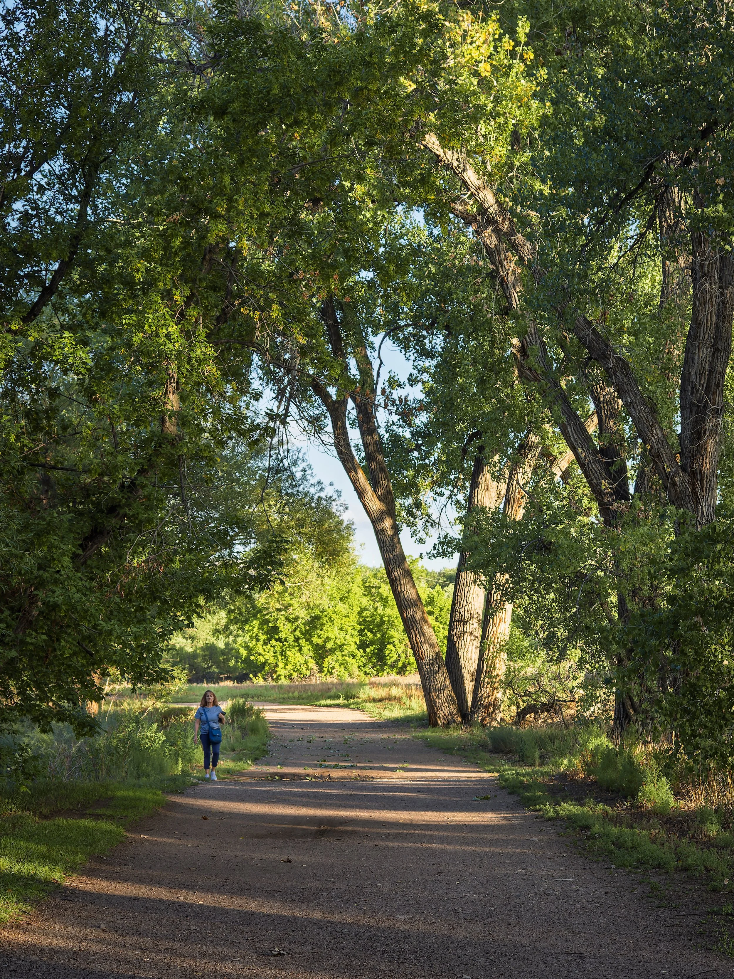 Tummins James, Lakewood, Colorado, USA