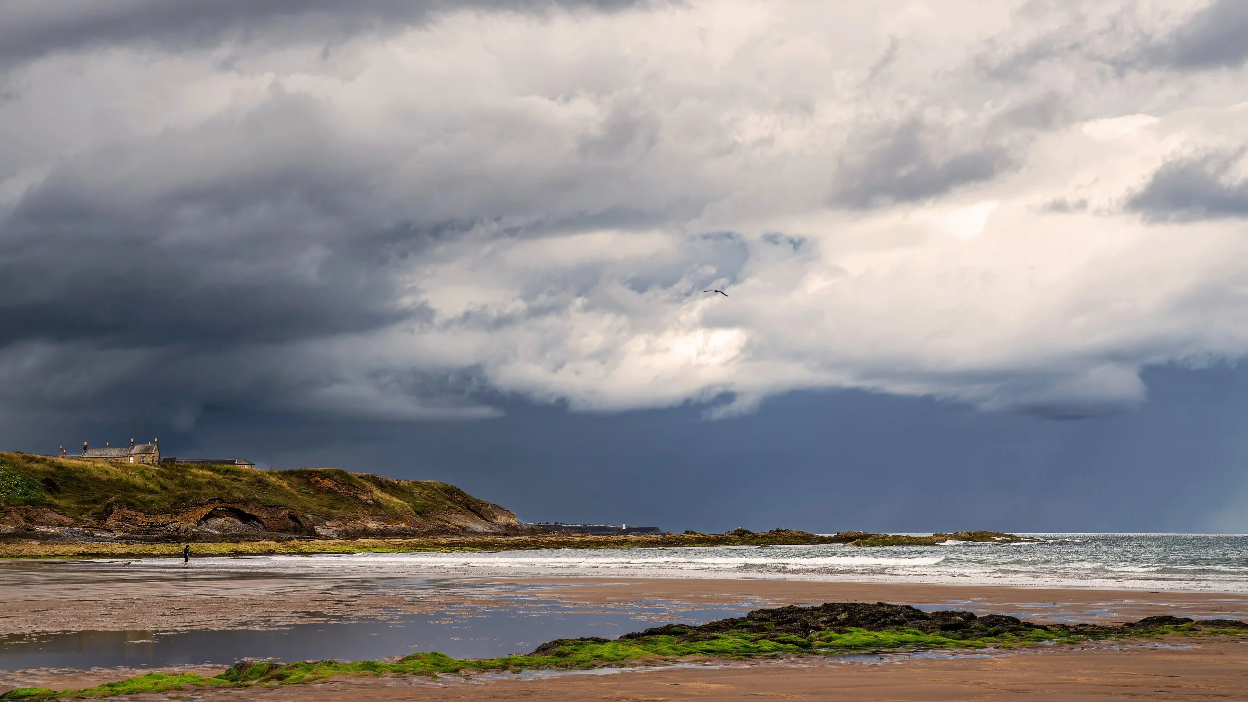 Oddy David, Northumberland, UK