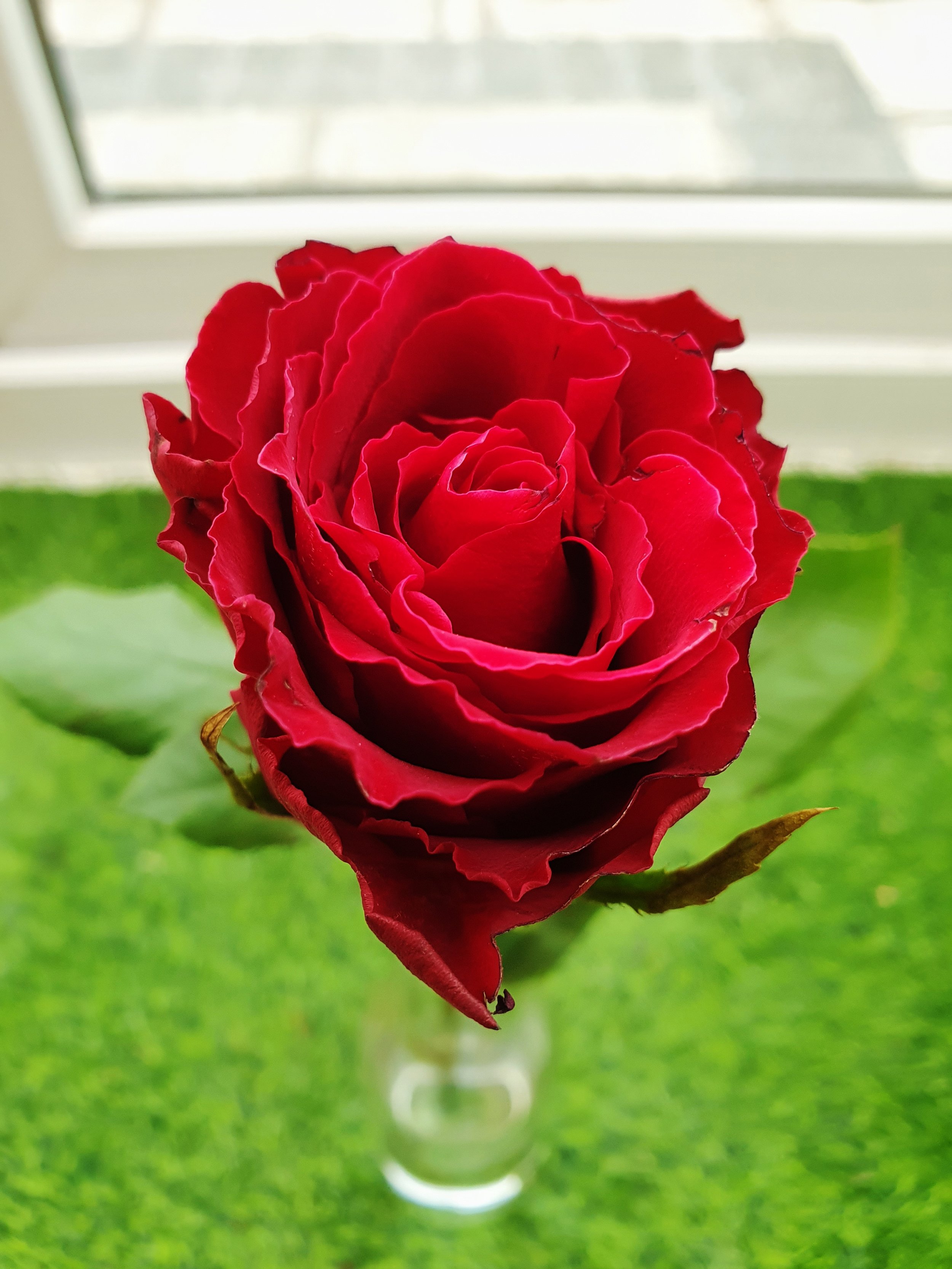 Shahzad Chaudhry, London, UK