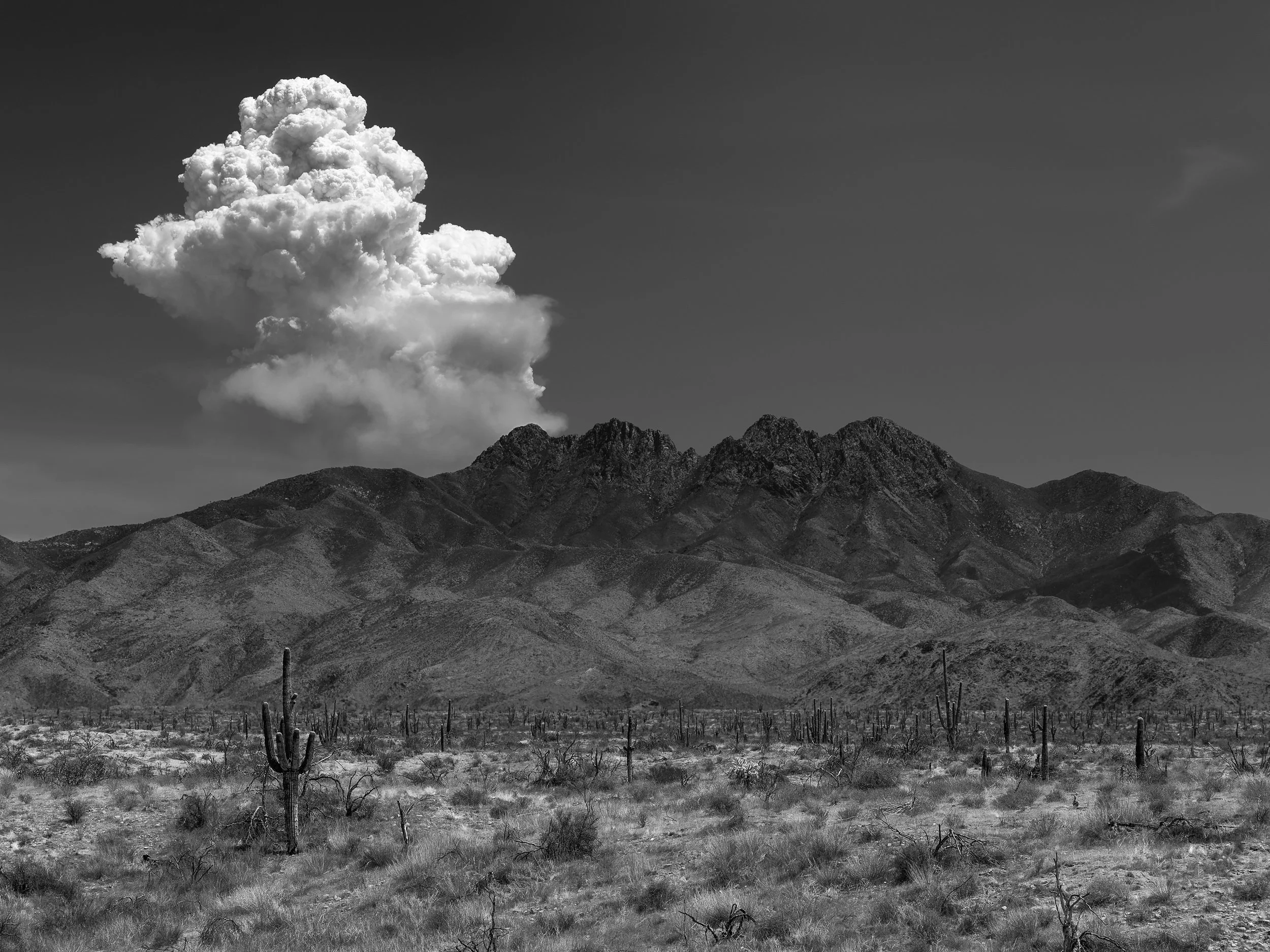 Nathan Schwimmer, Tonto National Forest, Arizona, USA