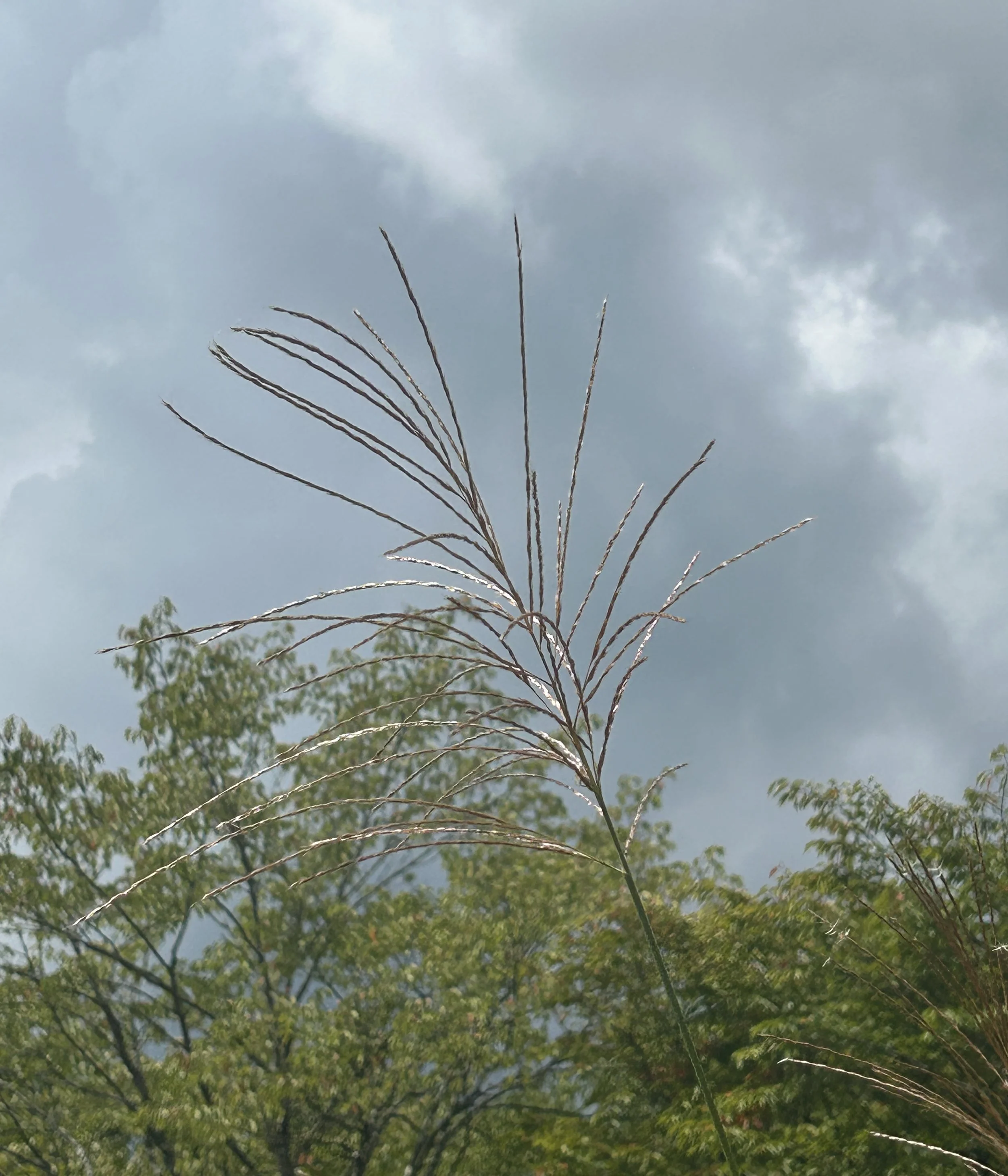 Edmond Martin, Nagano Prefecture, Japan