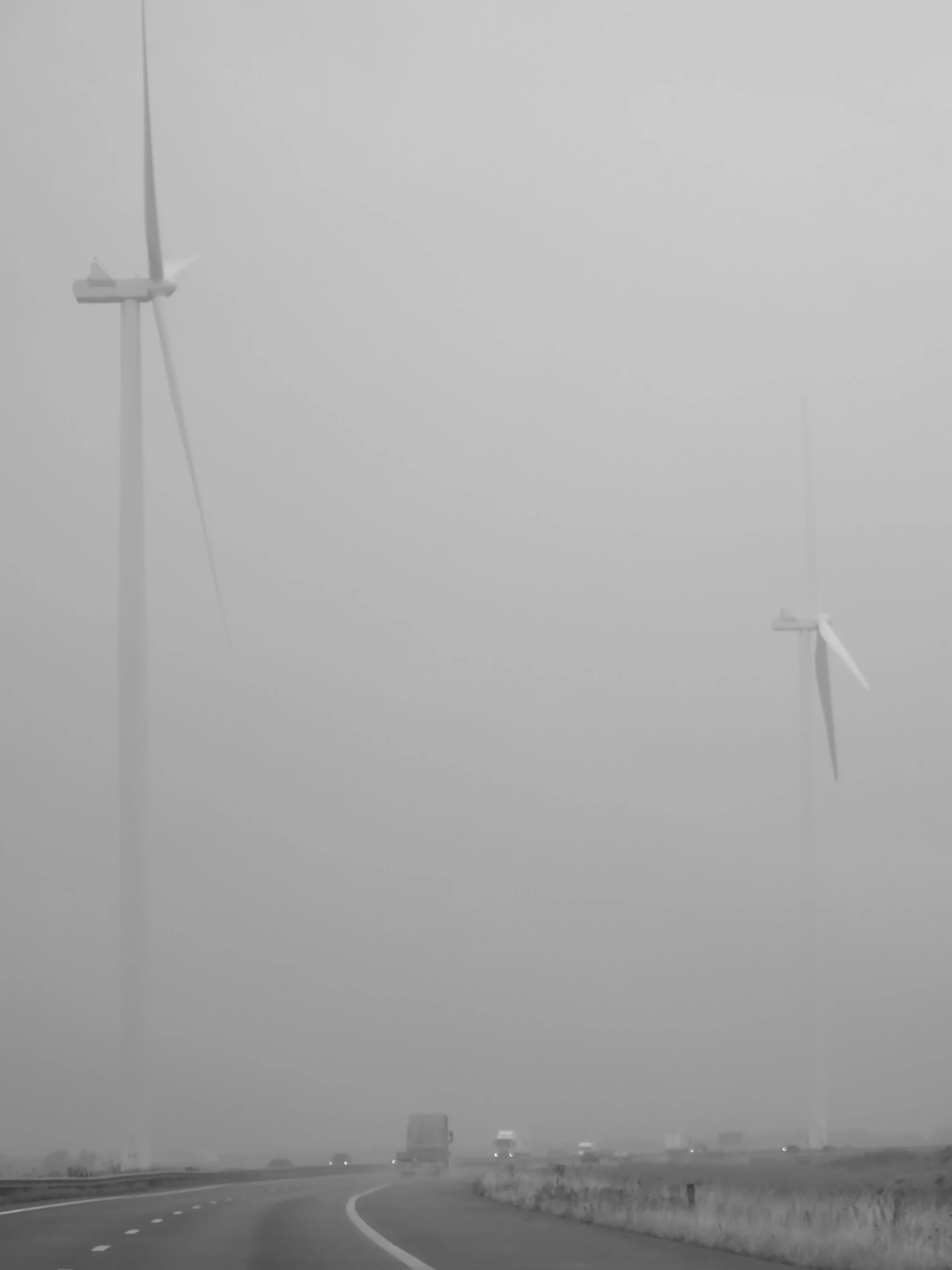 Stel Gert, Flevoland, Nederland