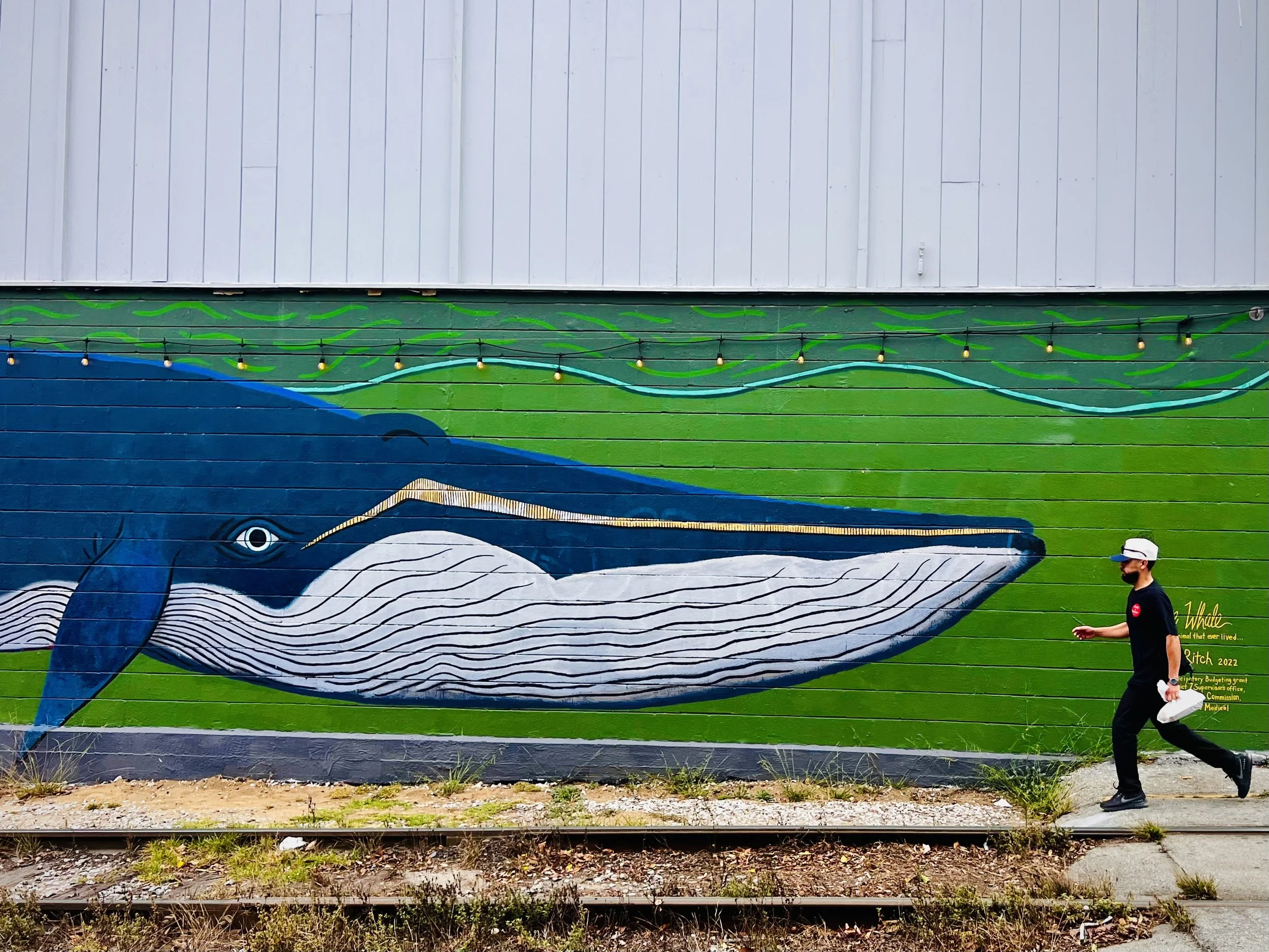 Watan Jay, San Francisco, California, USA