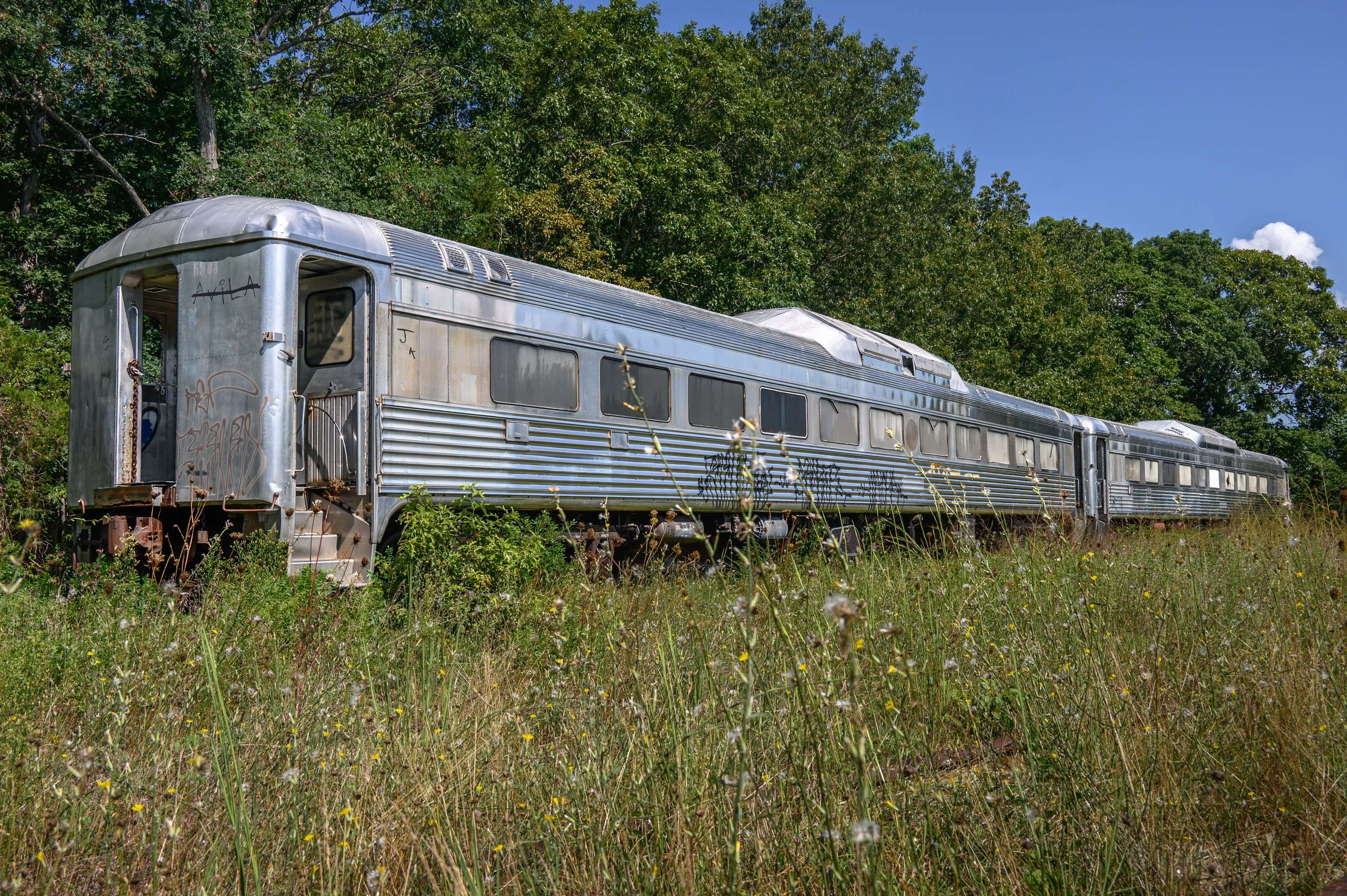 Busz Diane, Cape May, NJ, USA 