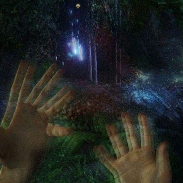 “To wander in mind” To be wide awake yet to perceive sights, smells, sounds that do not exist- that is to hallucinate . This term is derived from Latin, and it means “to wander in mind” . Telling hallucinations apa