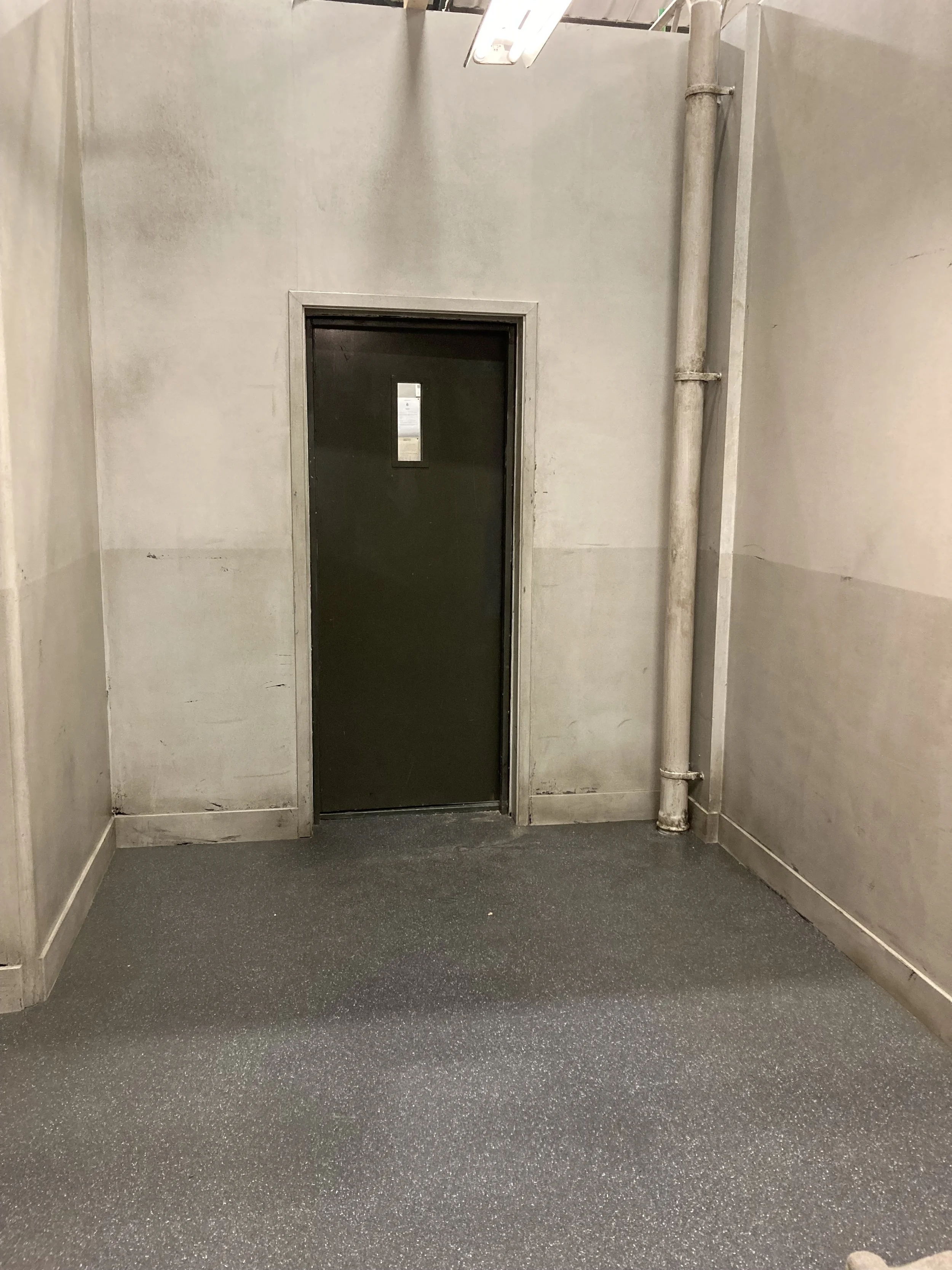 IMG_9981 (2021_11_14 18_06_06 UTC).JPG