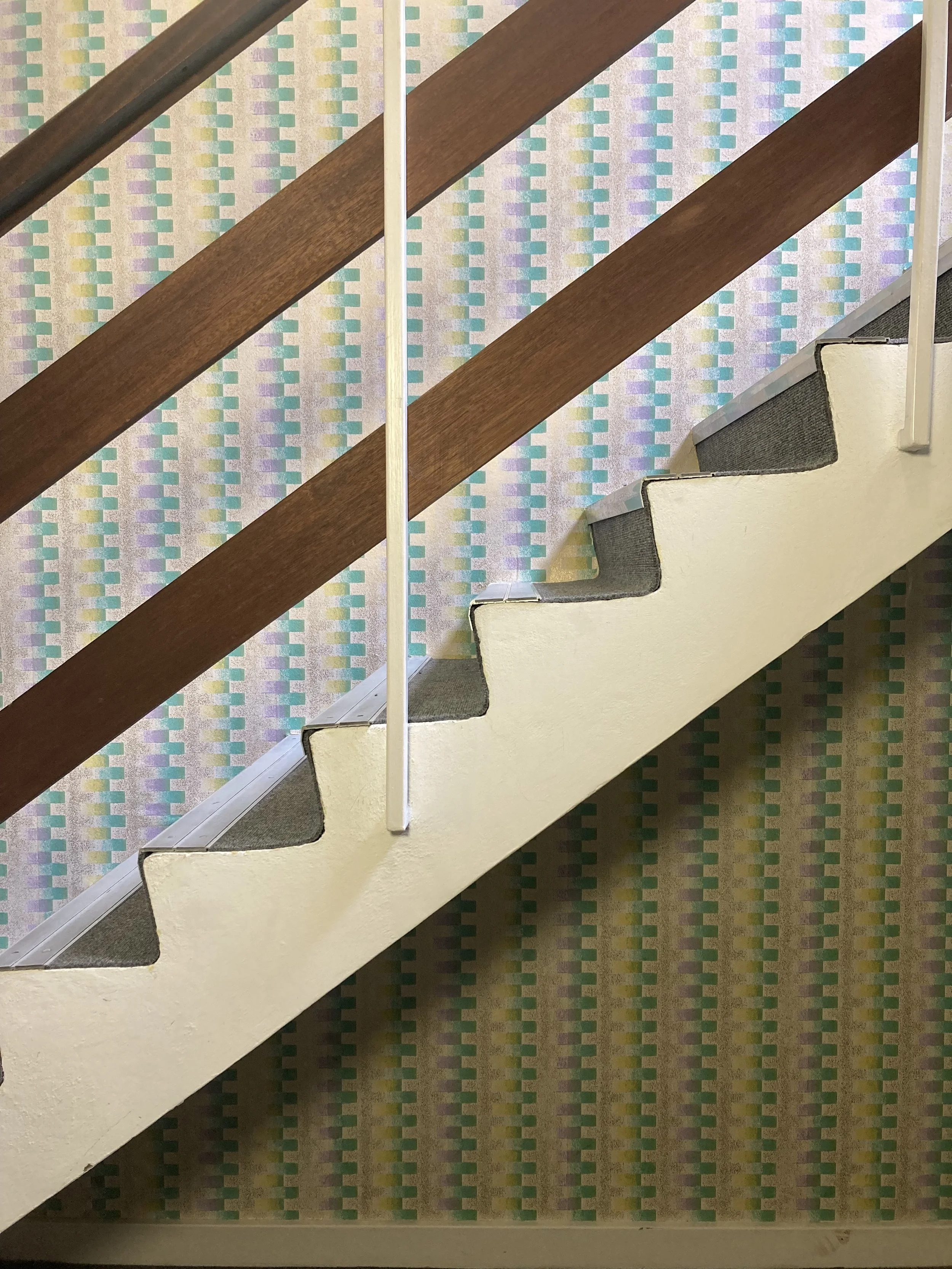 IMG_2939 (2022_11_05 11_35_59 UTC).JPG