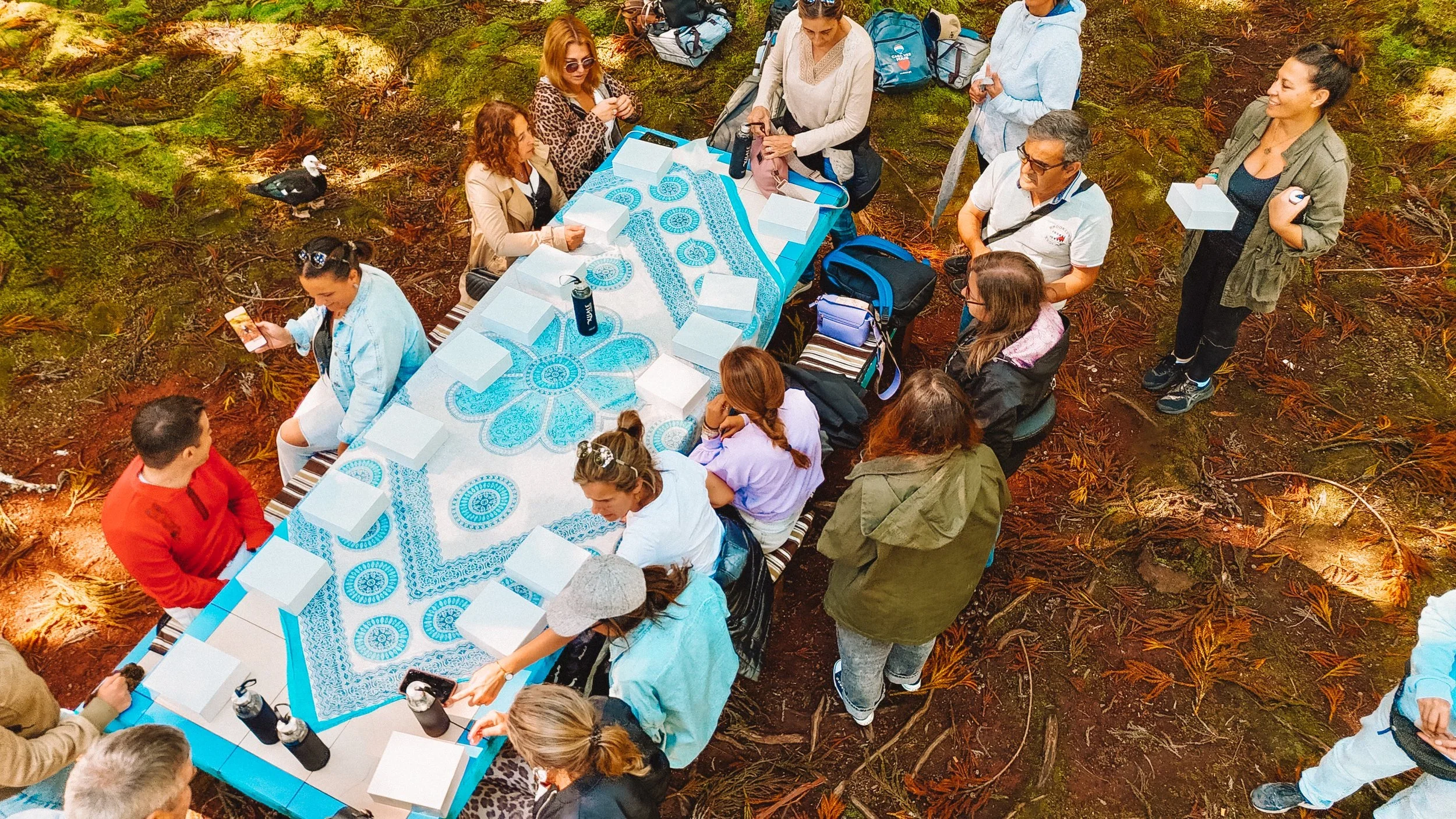 dji_fly_20241012_134826_0305_1728835733150_photo.webp