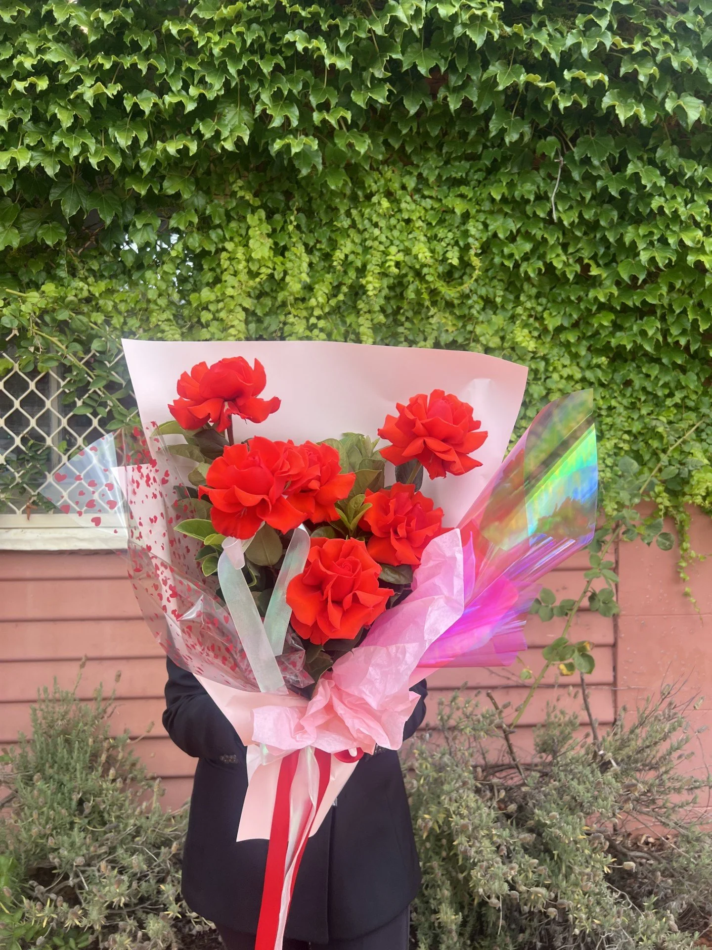 Jeremiah - 1/2 dozen red roses 