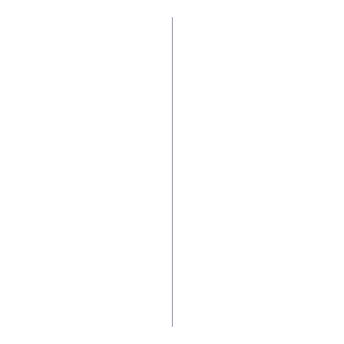 Faint divider line