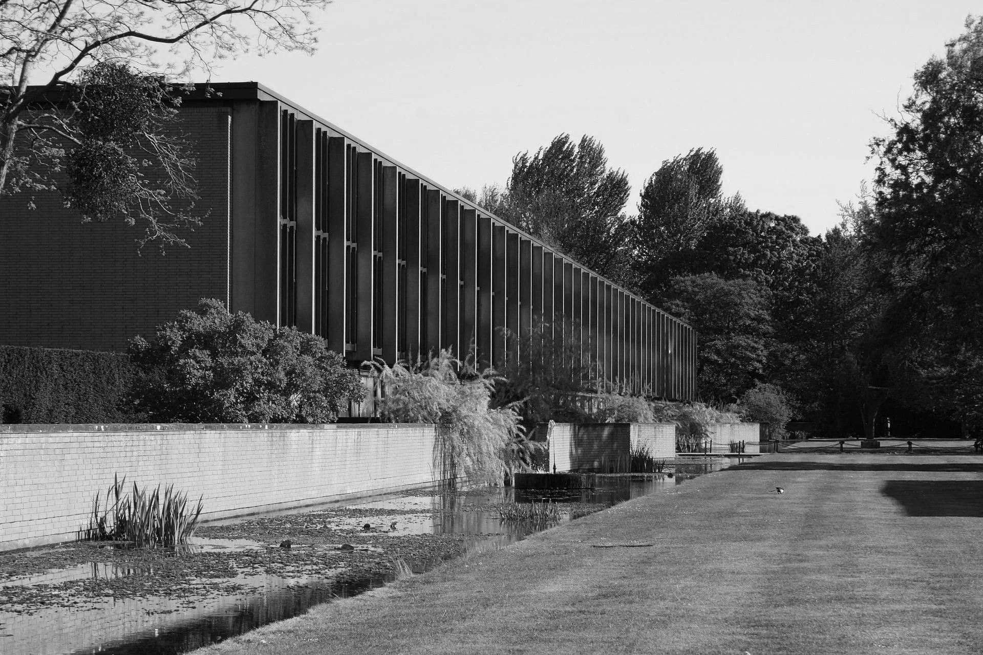 Stcatz_East_Outside_Quad.png