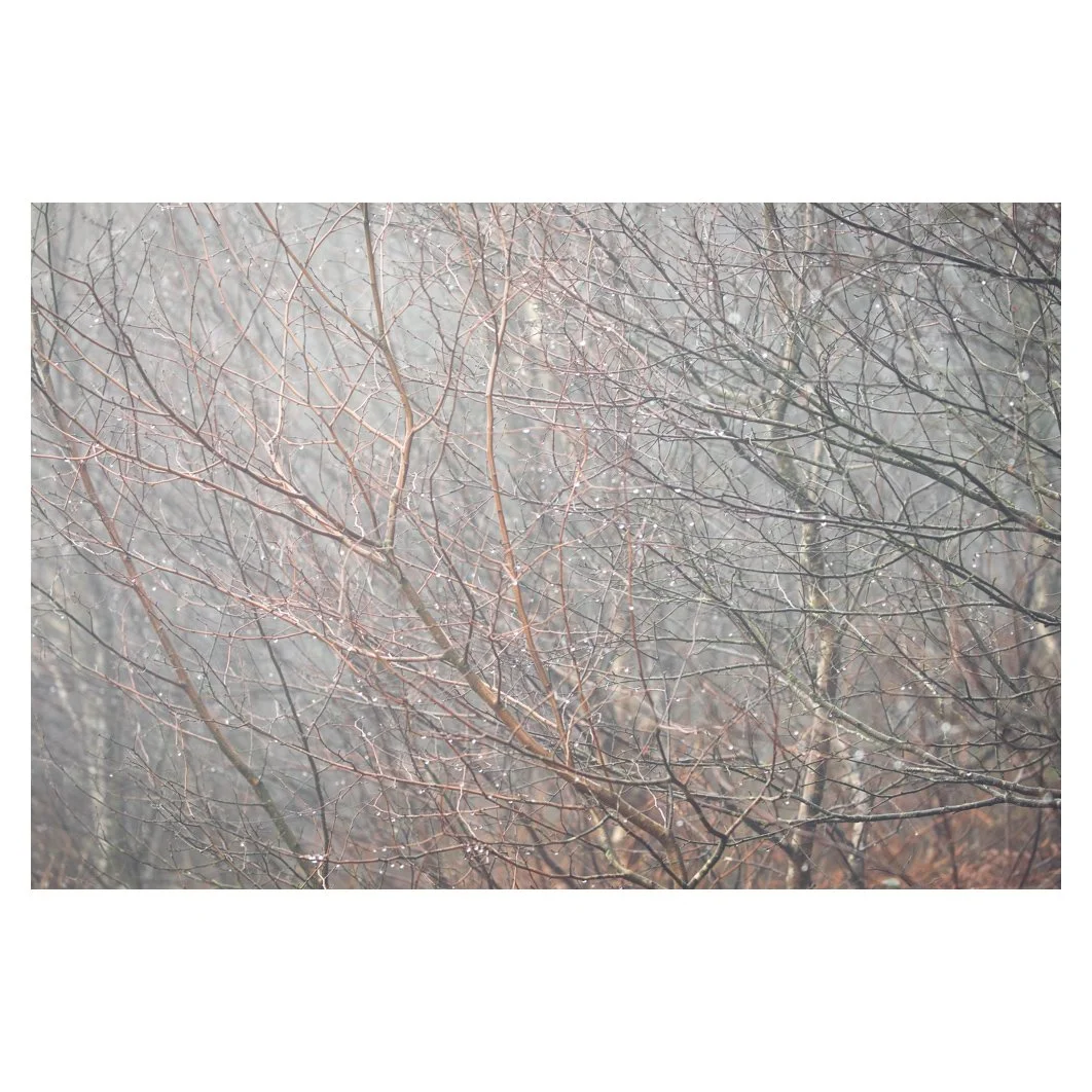 Droplets and branches