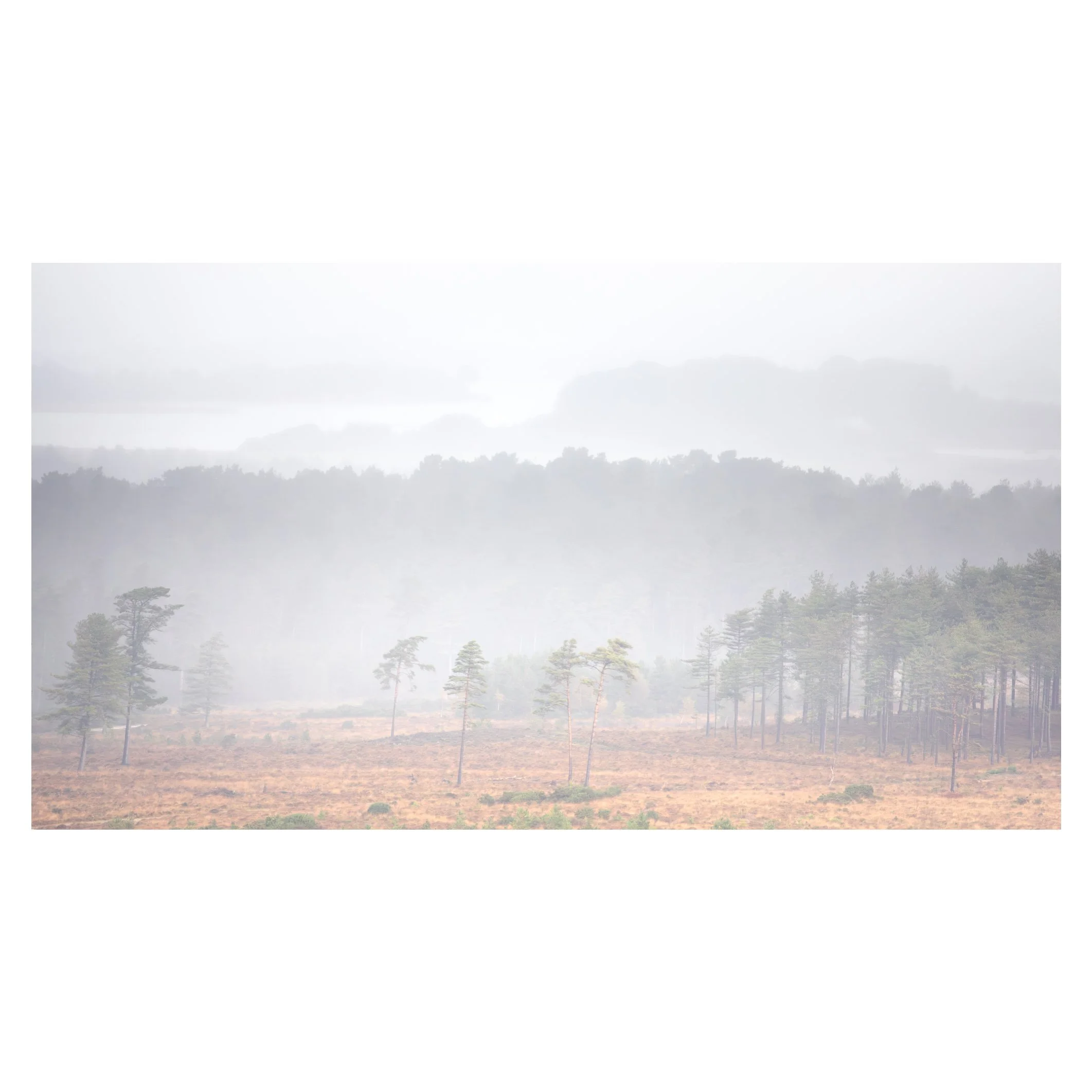 Passing rain over Brownsea Island