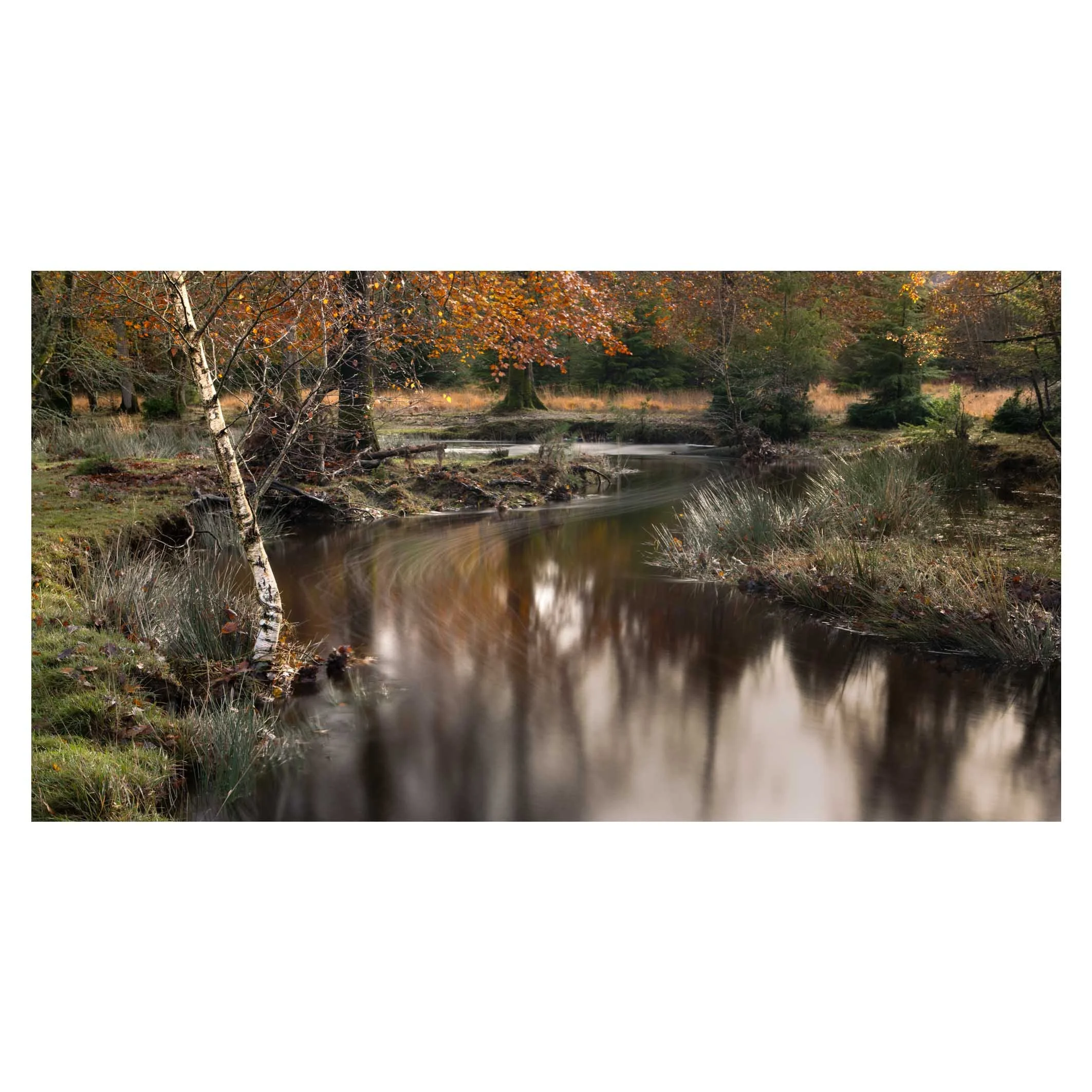 Blackwater, New Forest 2