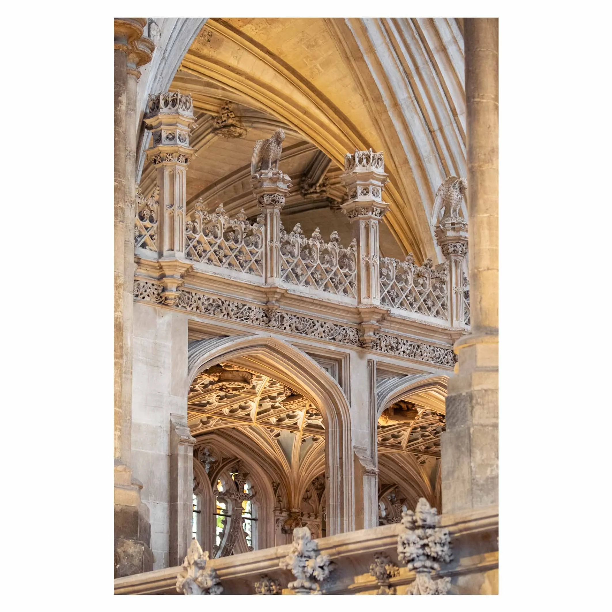 Winchester Cathedral 4