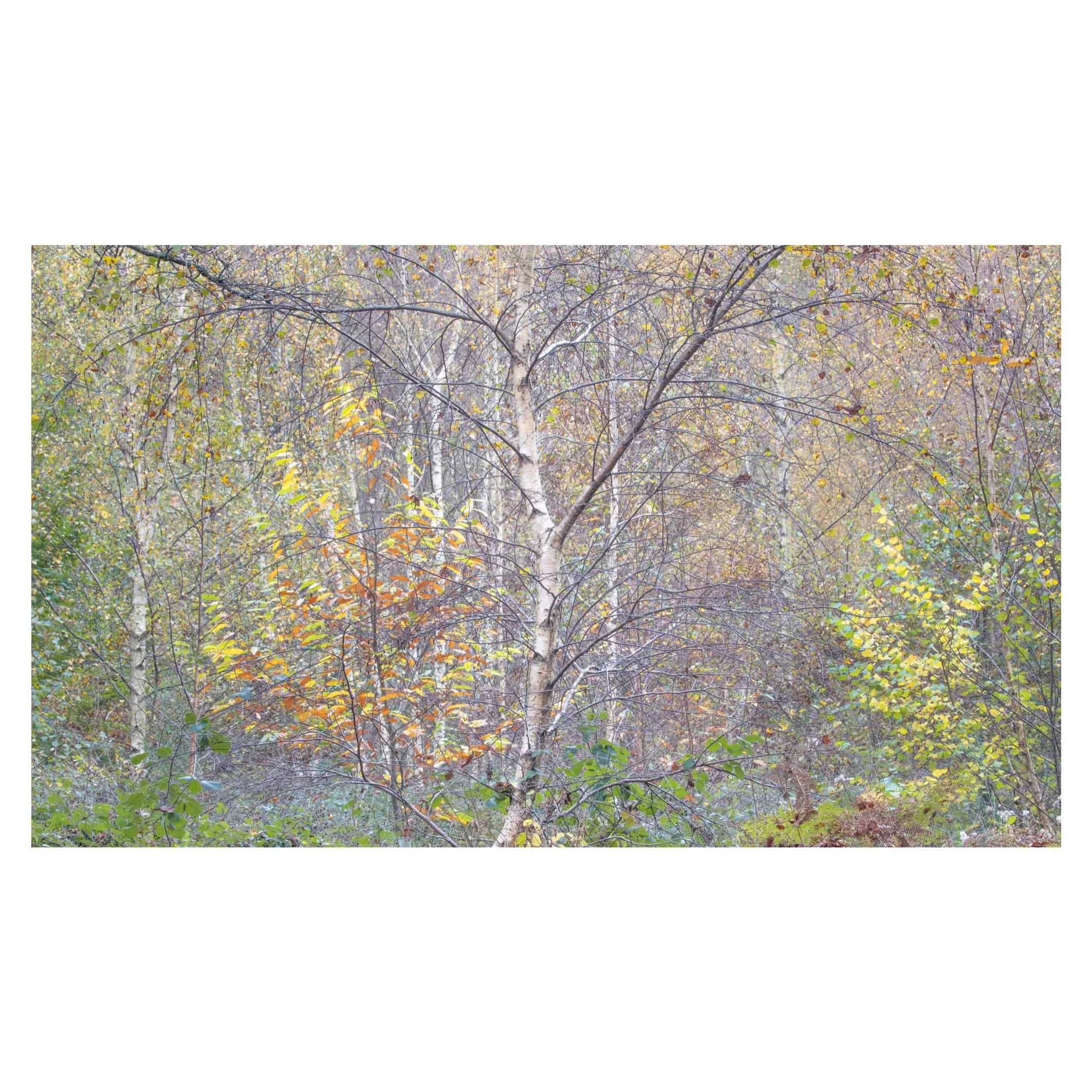 Lattice, Micheldever, Hampshire