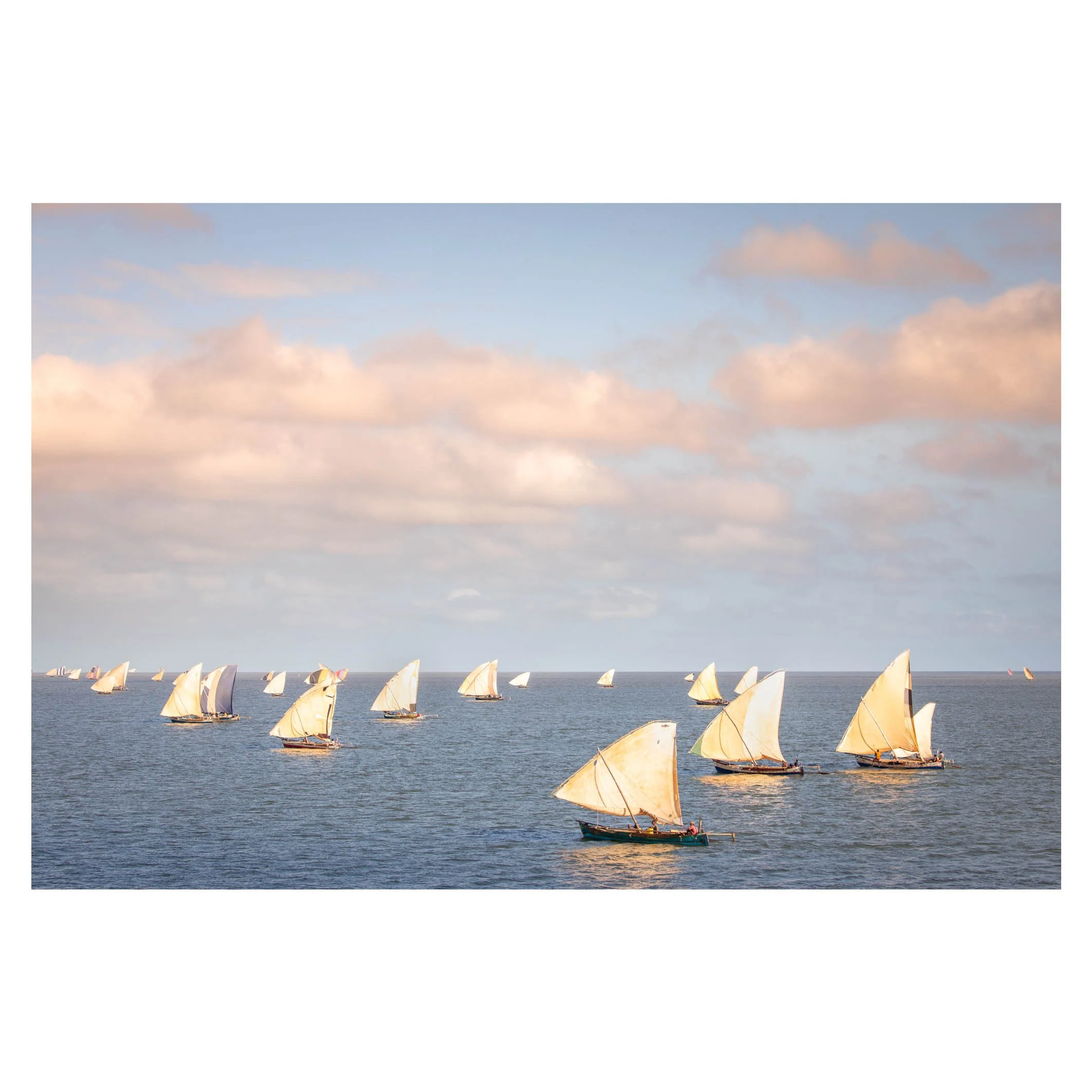 Morning fleet of dhows, Mahajanga, Madagascar