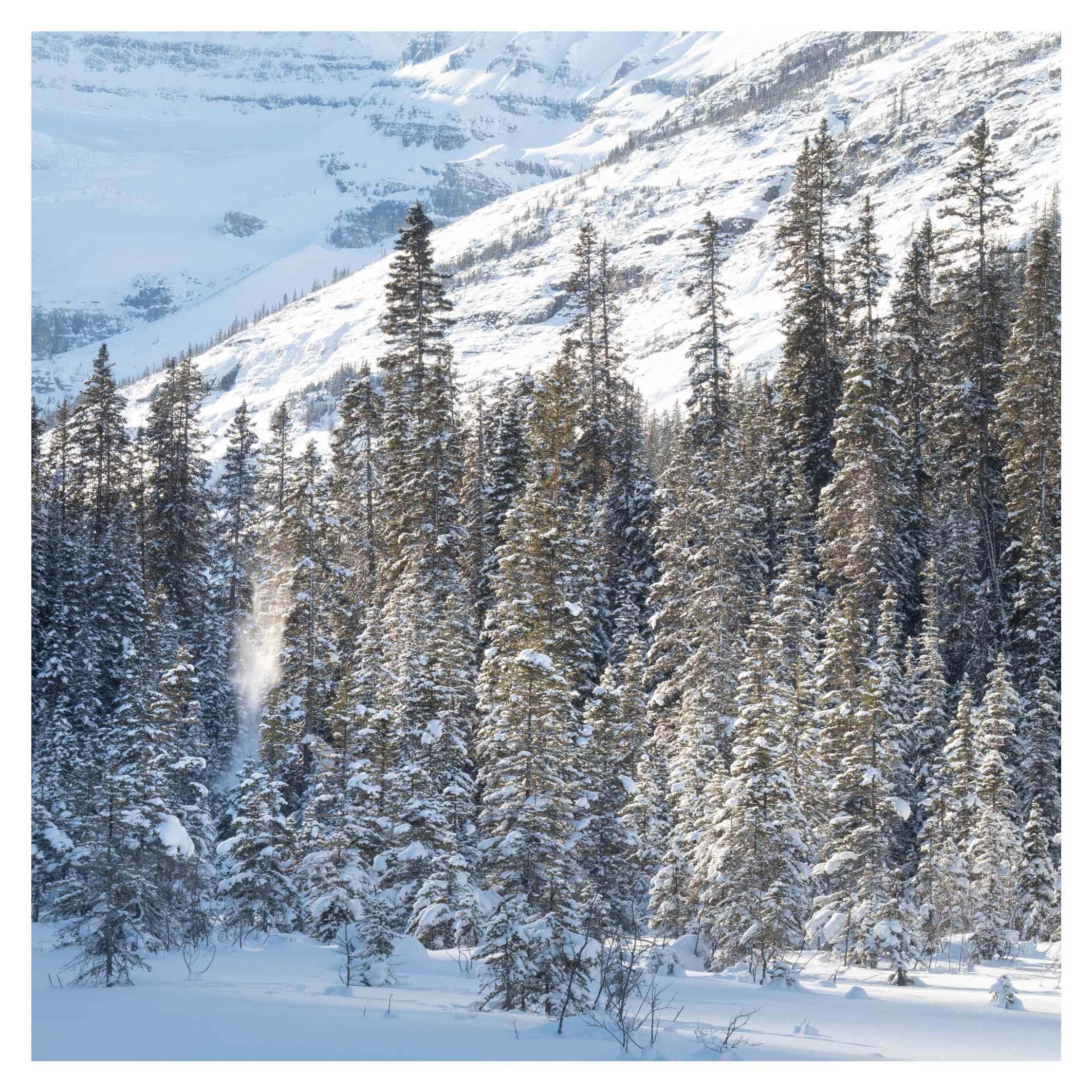 Snowfall, Lake Louise, Canada
