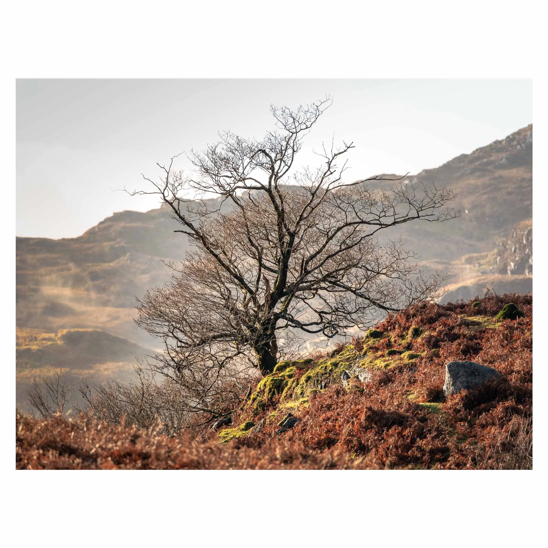 Tanygrisiau, Eryri (Snowdonia)