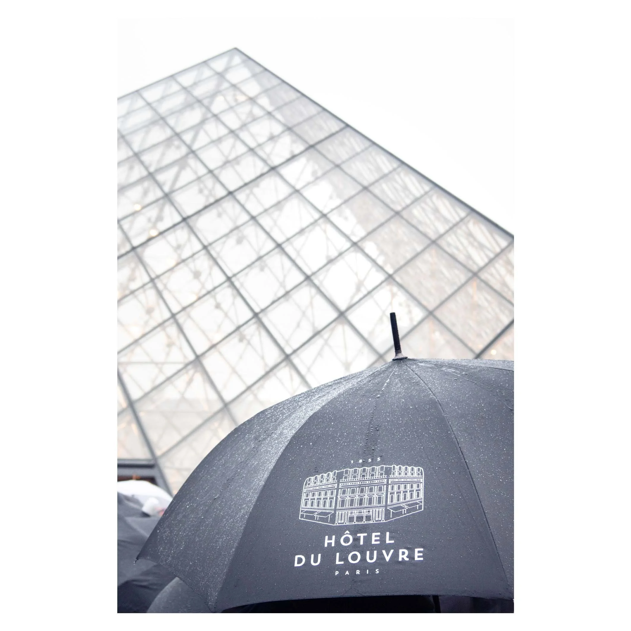 The Louvre, Paris