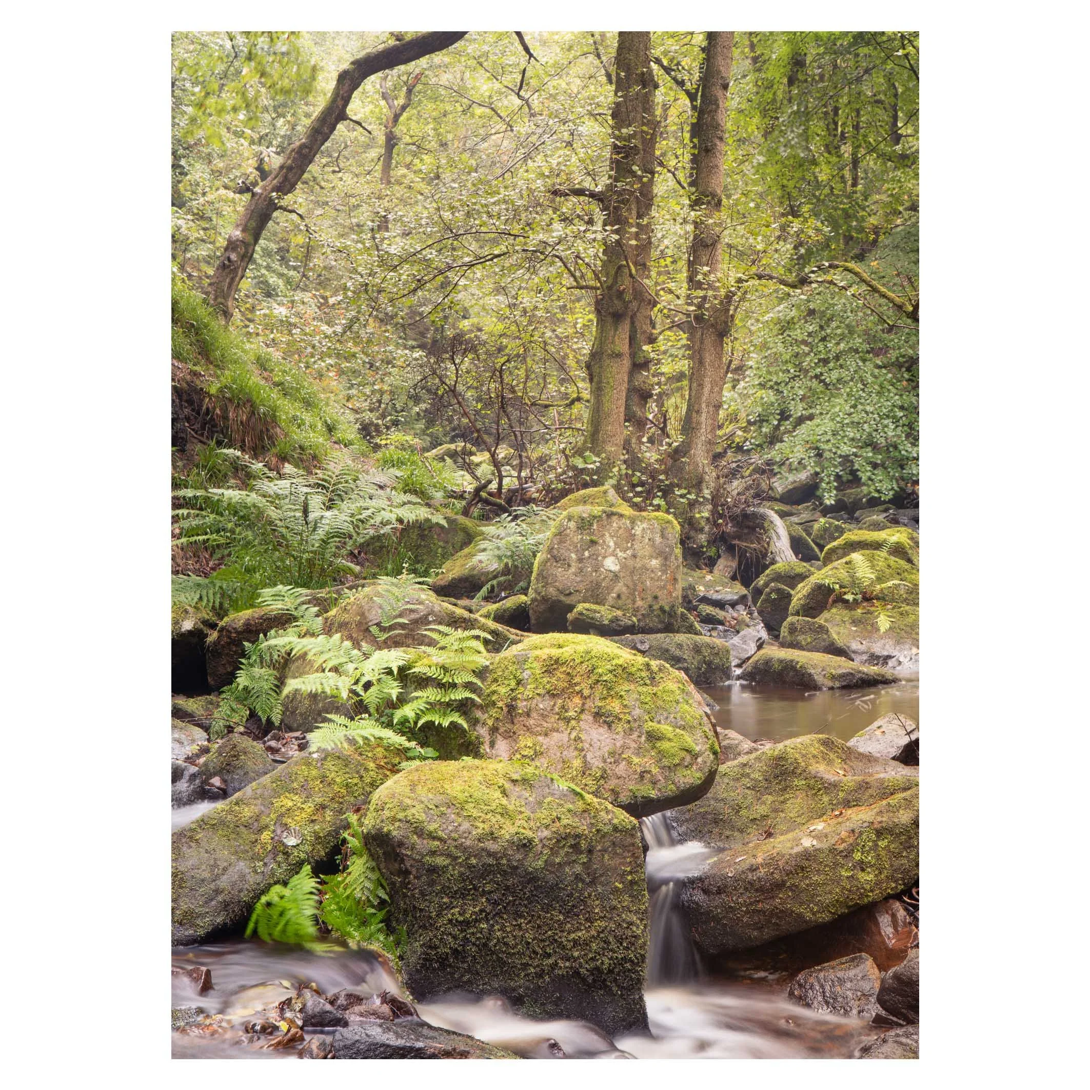Padley Gorge, Peak District