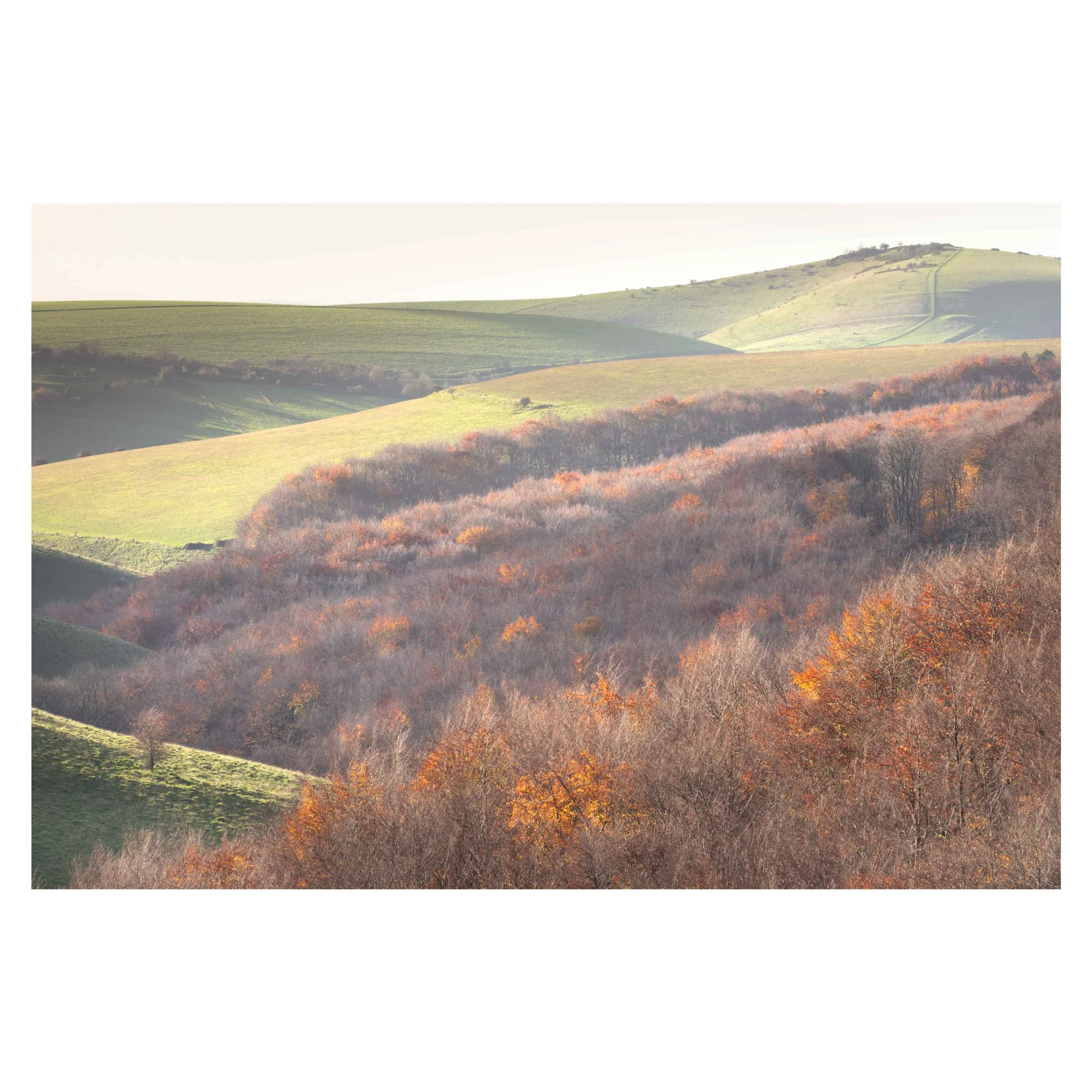 Melbury Down, Autumn 2025