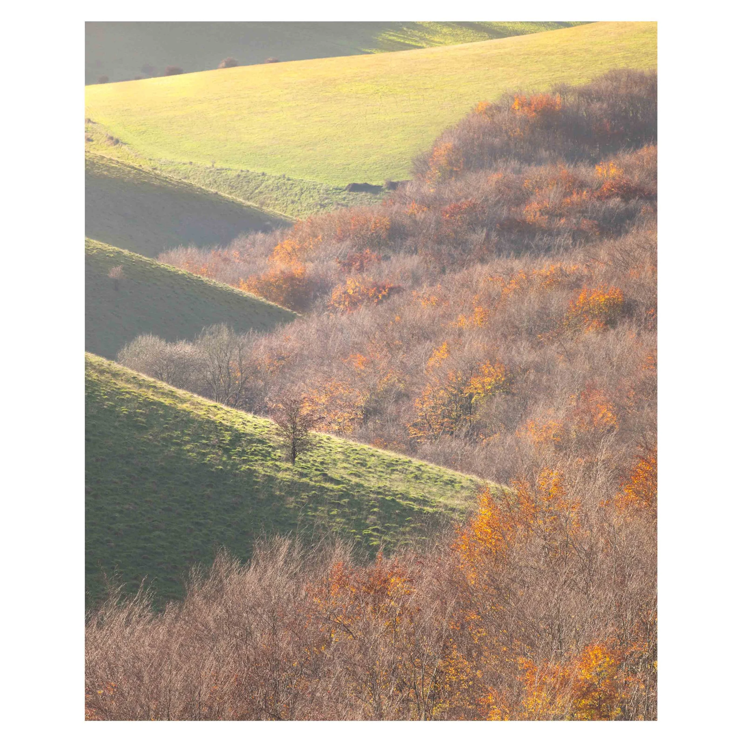 Melbury Down, Autumn 2025