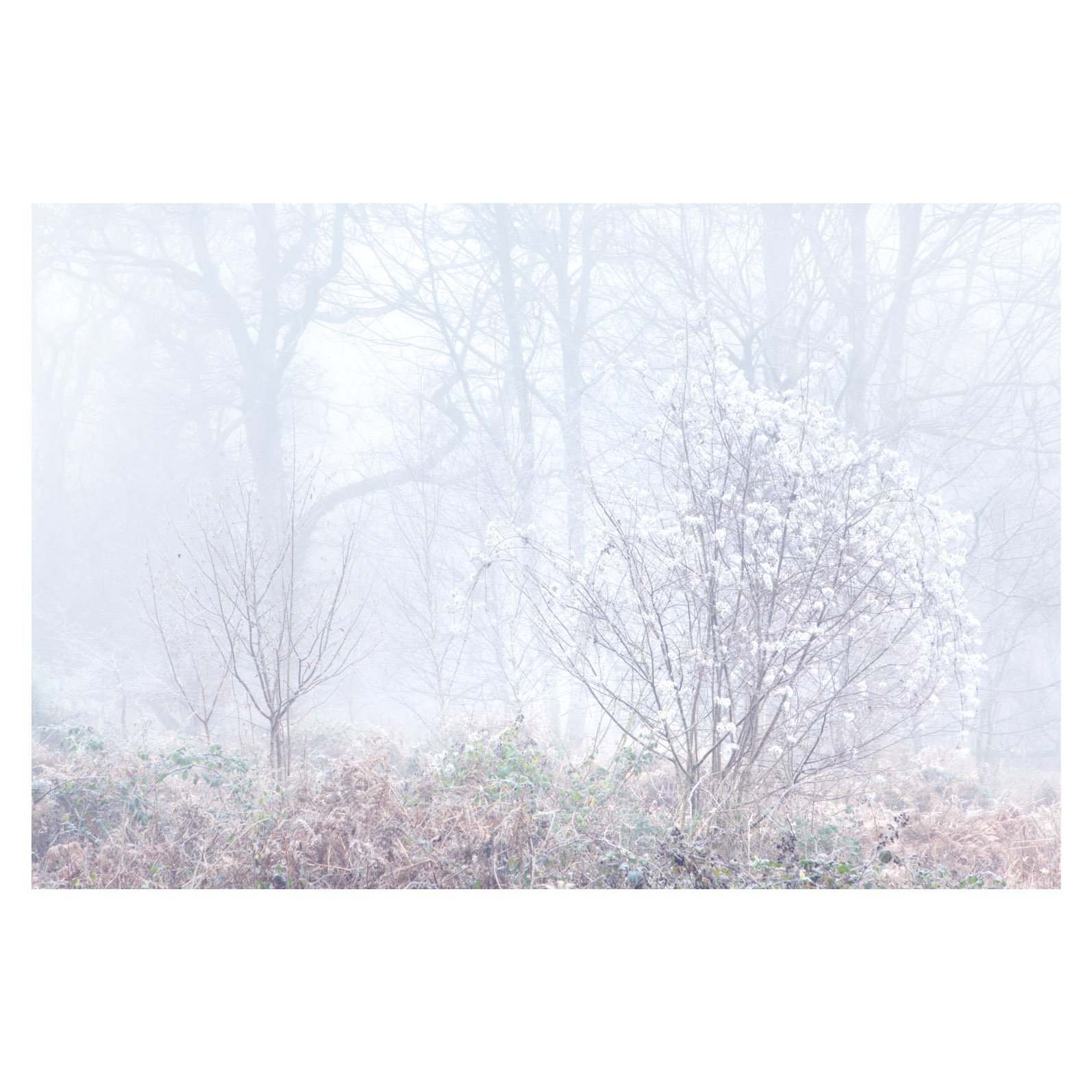 New Year's Eve deep freeze