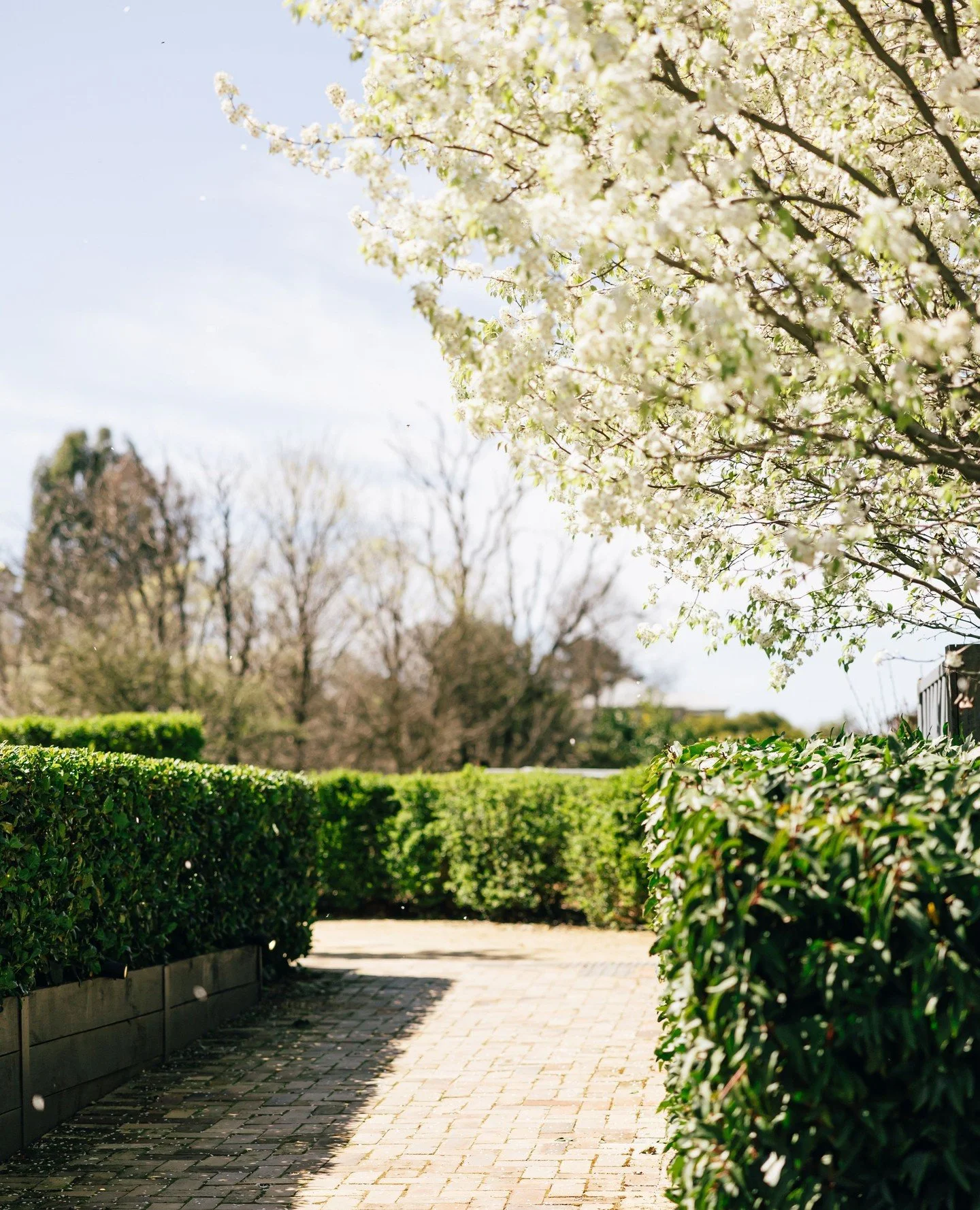 It's a garden that makes every visitor happy. 🍃🖤⁠
⁠
#TheSirGeorgeJugiong